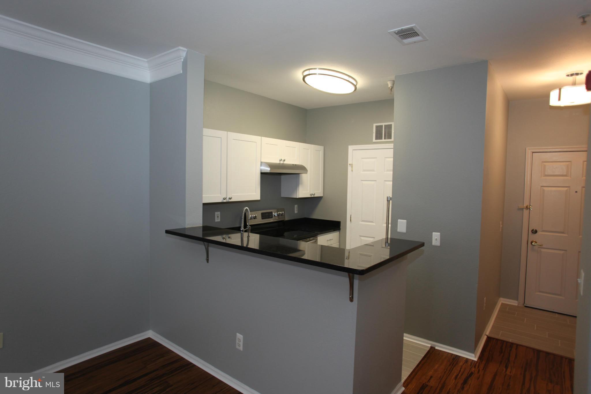 1521 Spring Gate Dr., Unit 10202 McLean, VA 22102 - Photo 20 of 30 New light fixtures in the entry and kitchen
