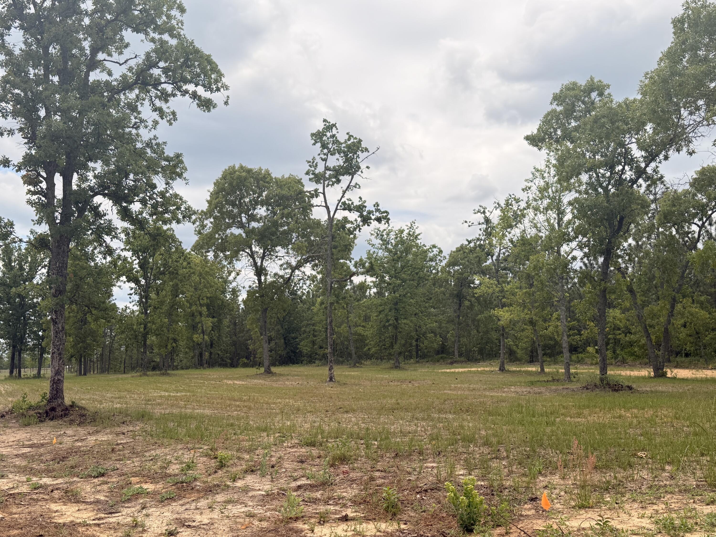 220 Tandem Trail Windsor, SC 29856 - Photo 38 of 48