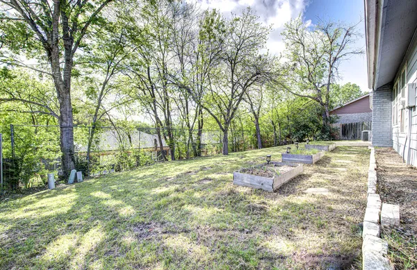 a view of a yard with plants and trees