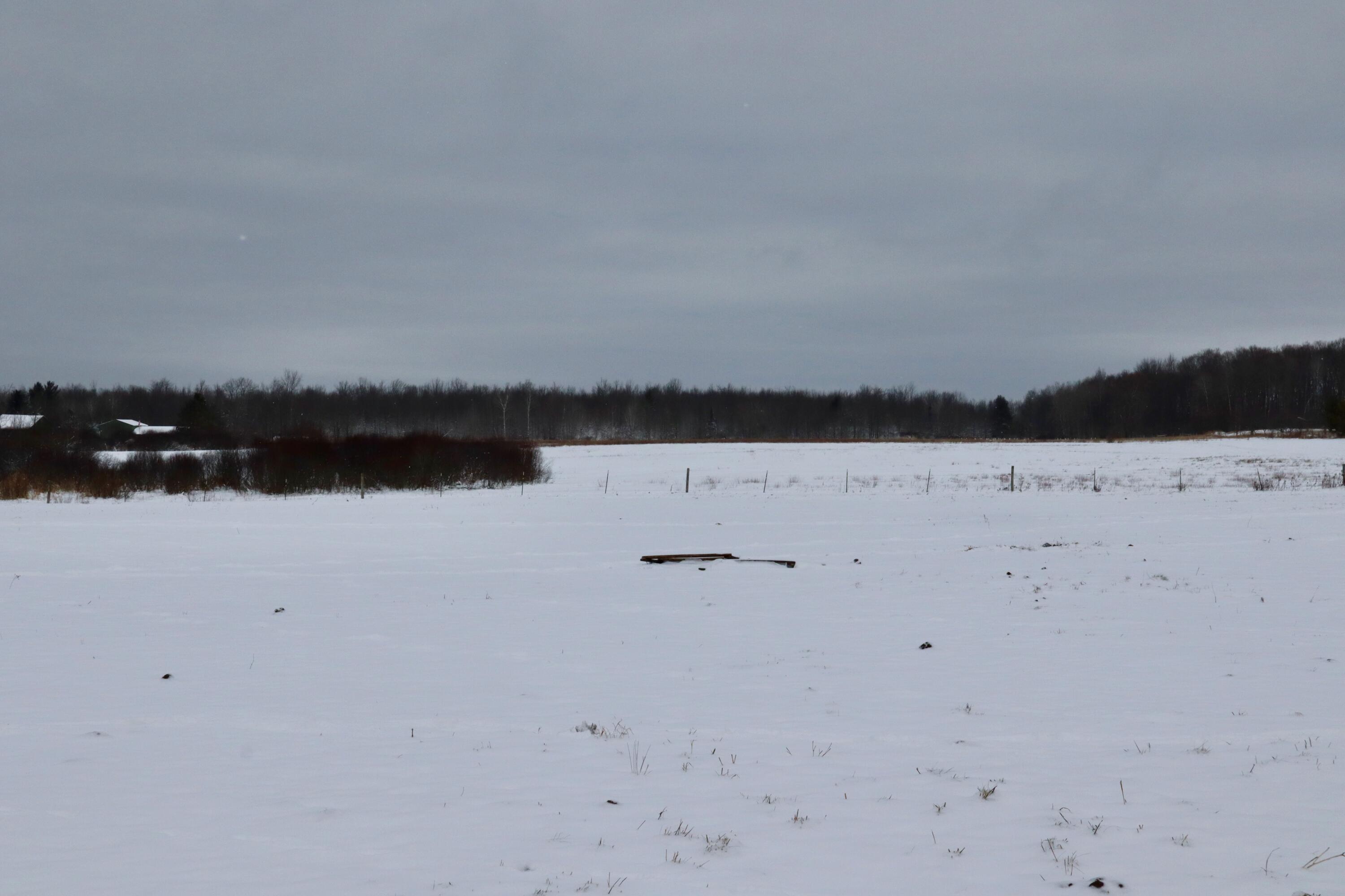 22268 21 Mile Road Tustin, MI 49688 - Photo 29 of 66 IMG_0338