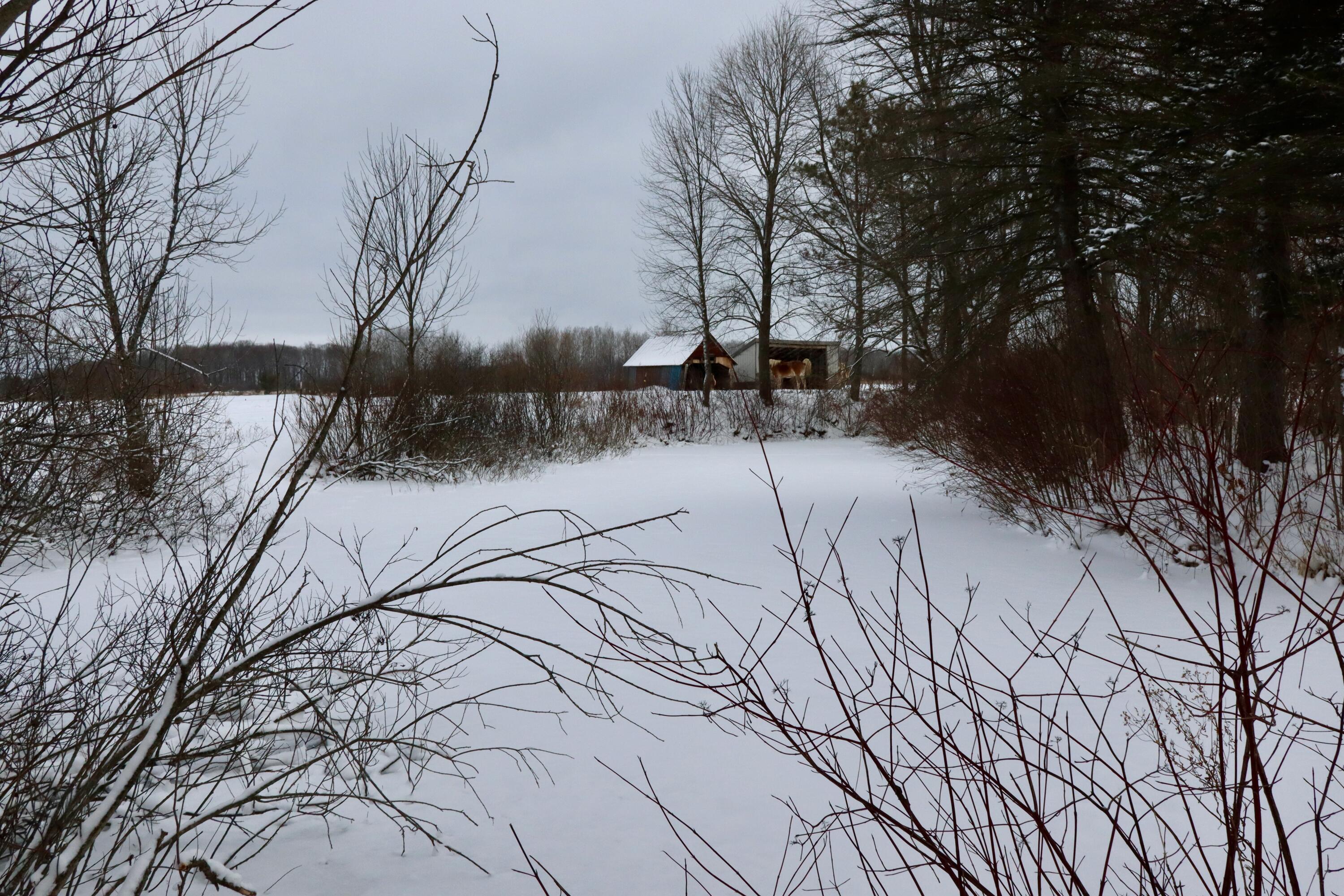 22268 21 Mile Road Tustin, MI 49688 - Photo 31 of 66 IMG_0340