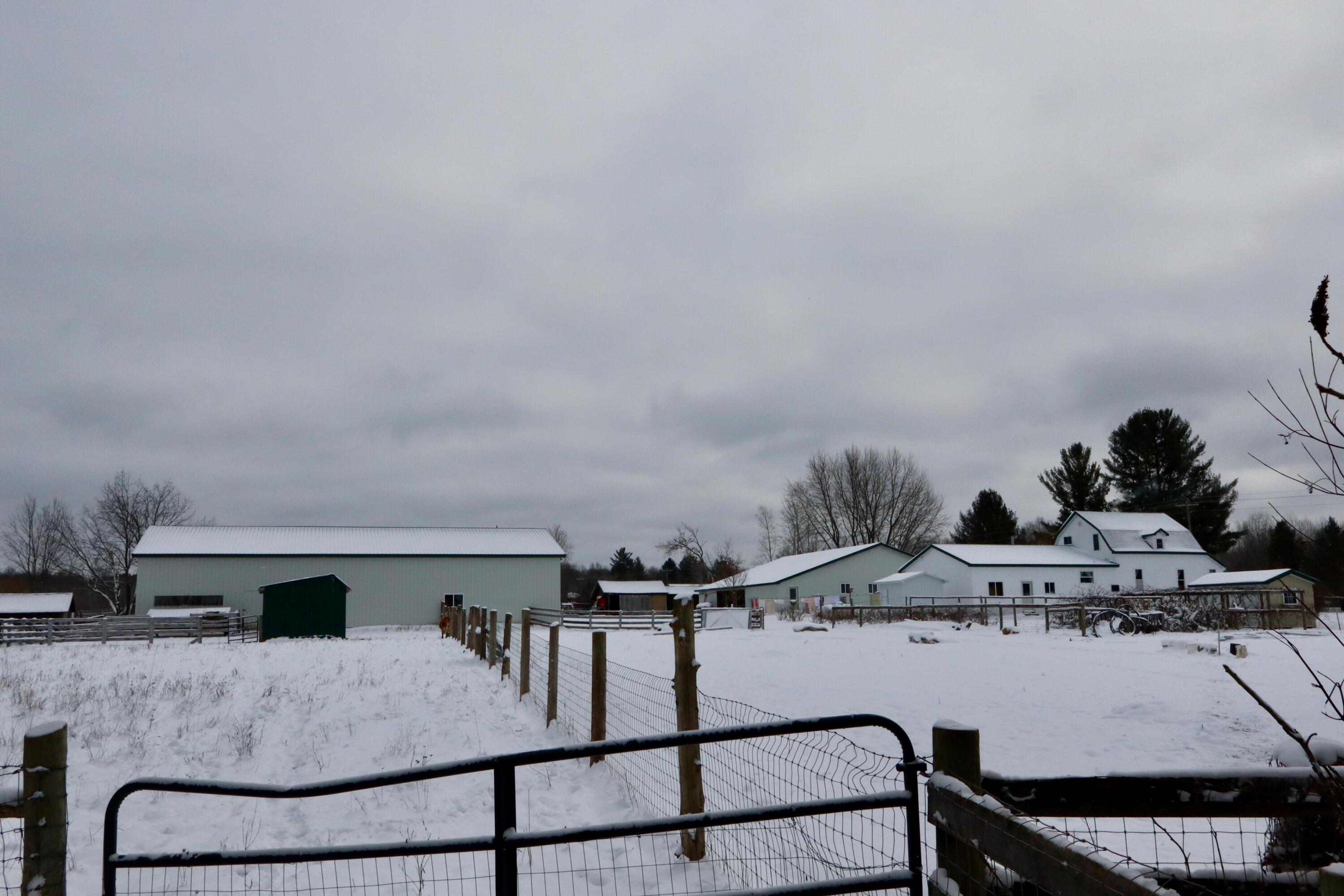 22268 21 Mile Road Tustin, MI 49688 - Photo 34 of 66 IMG_0343