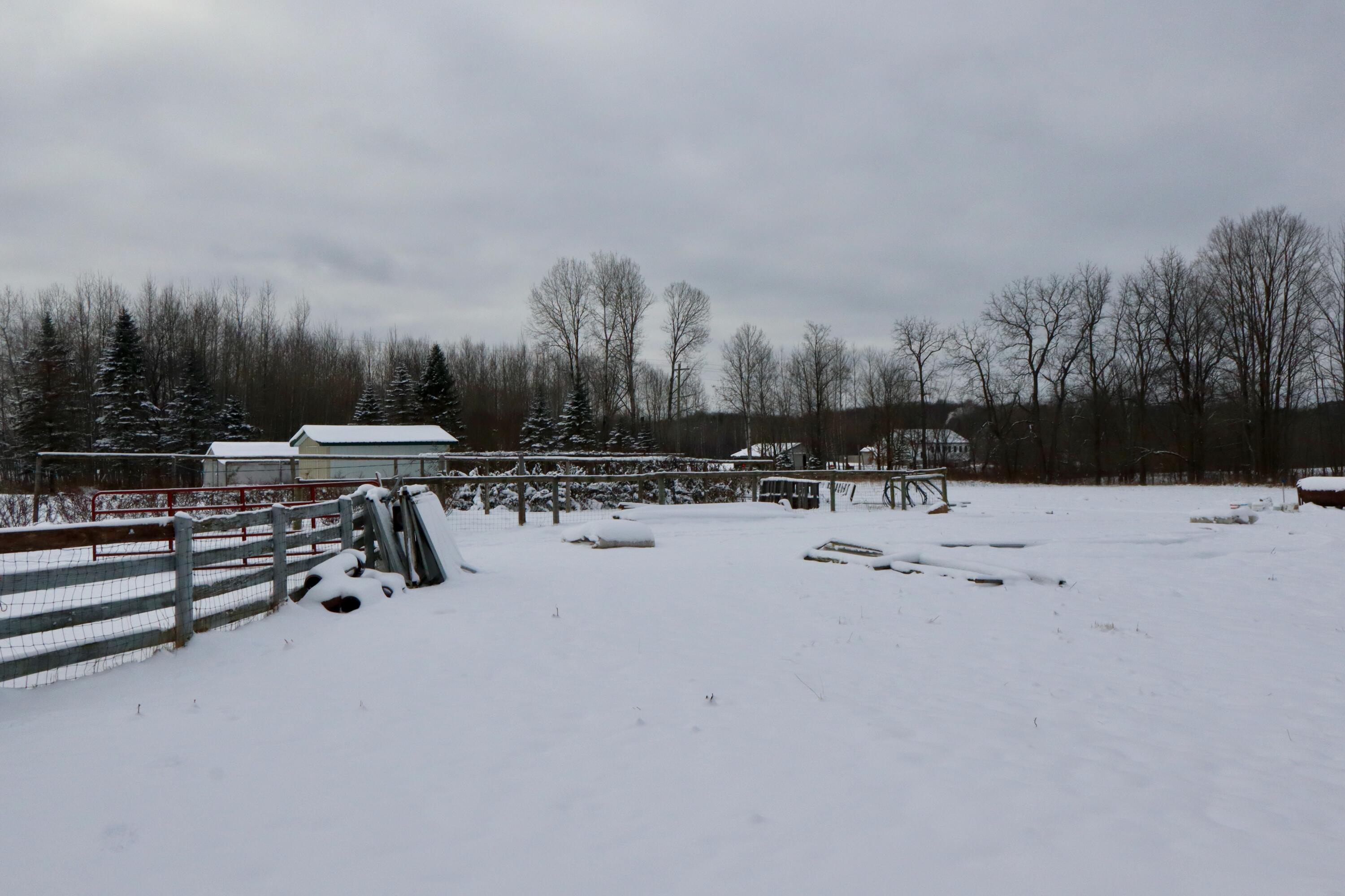 22268 21 Mile Road Tustin, MI 49688 - Photo 37 of 66 IMG_0346