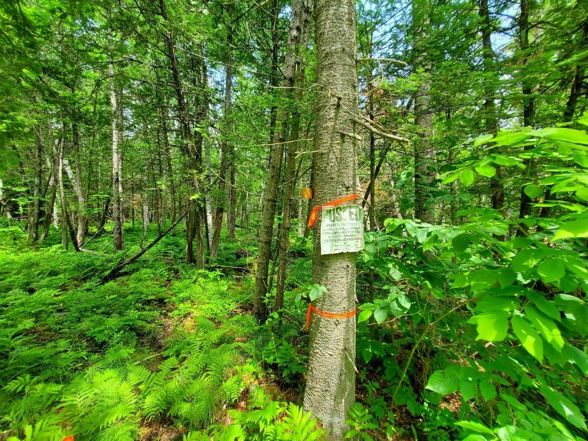 92 Huff Road Cornville, ME 04976 - Photo 111 of 121 westerly front corner