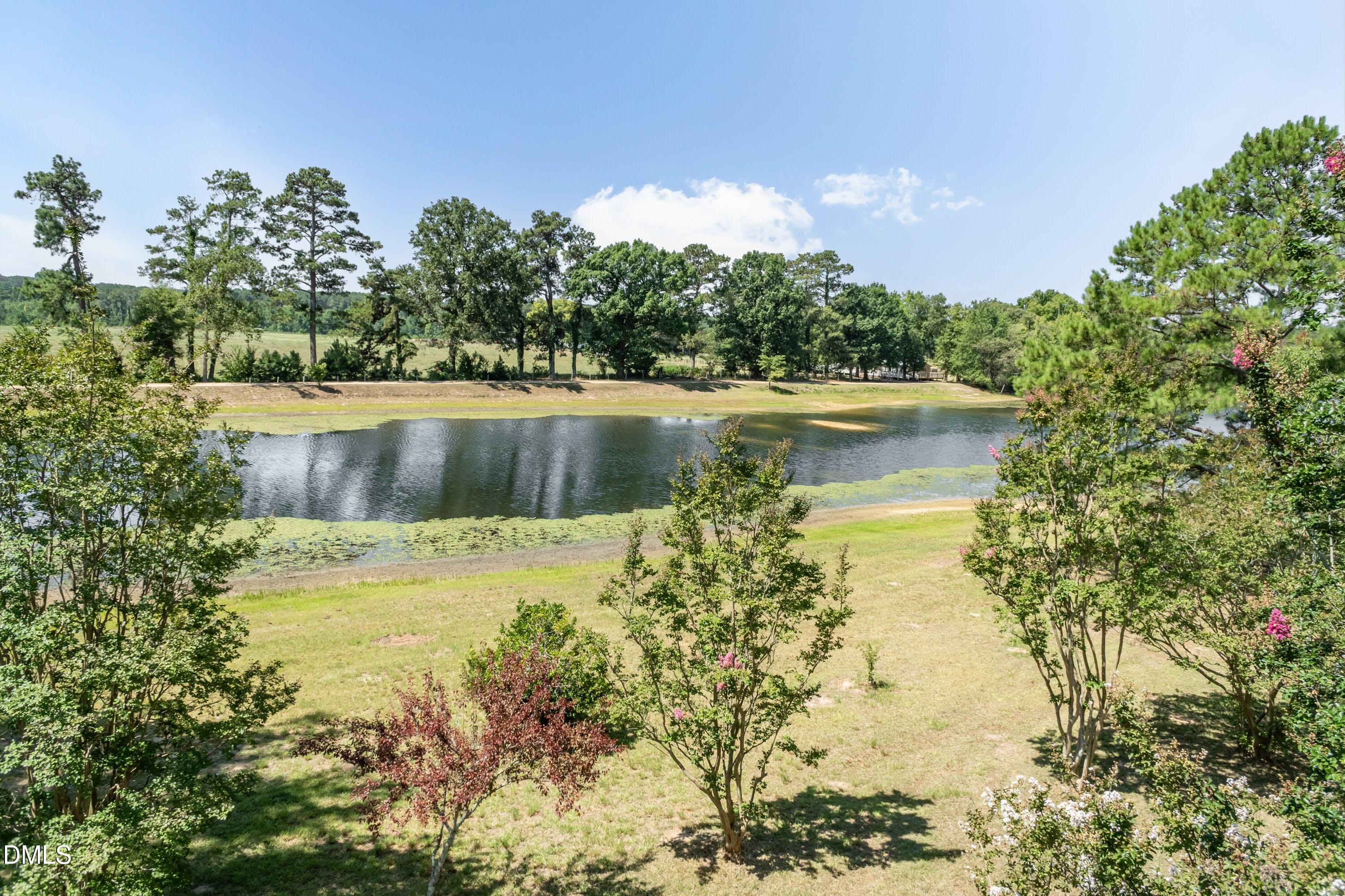 3715 South River Road Lillington, NC 27546 - Photo 41 of 91 Pond 02
