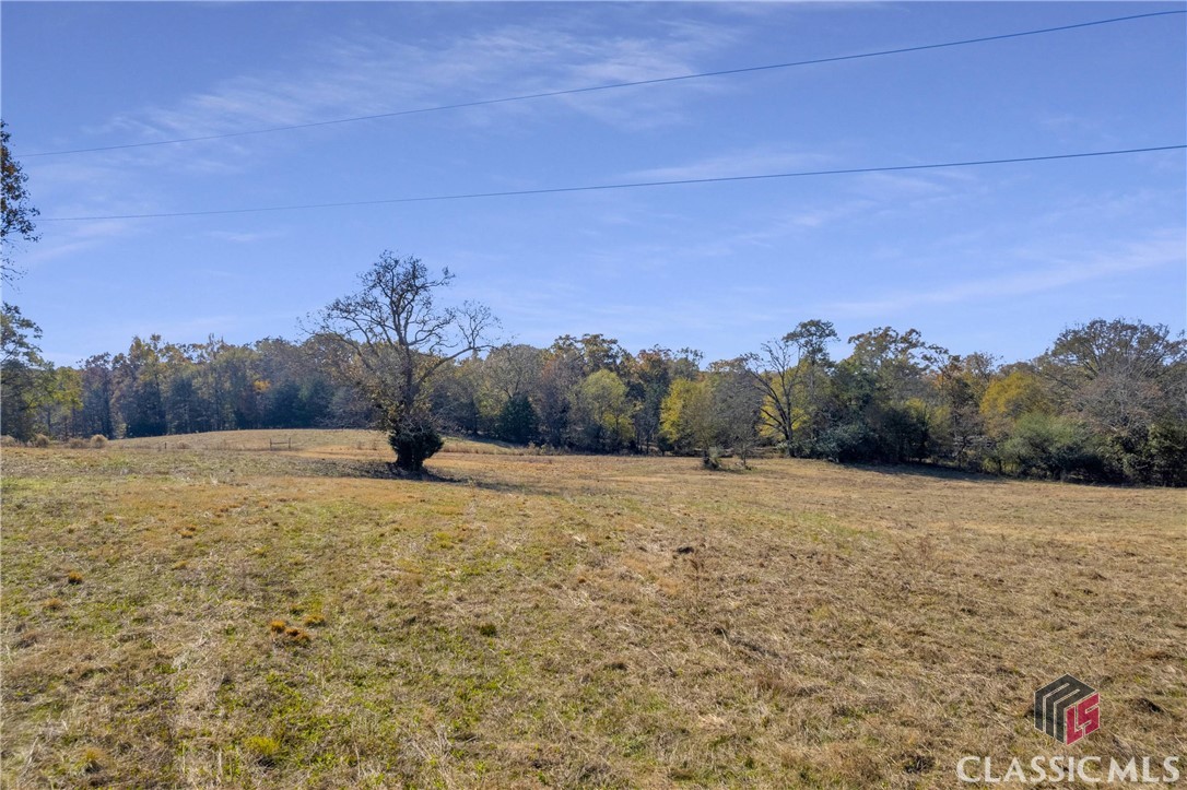 955 Griffeth Road Colbert, GA 30628 - Photo 48 of 62