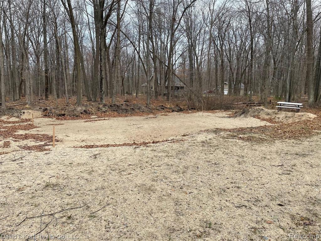 4220 Sand Road Caseville, MI 48725 - Photo 3 of 5