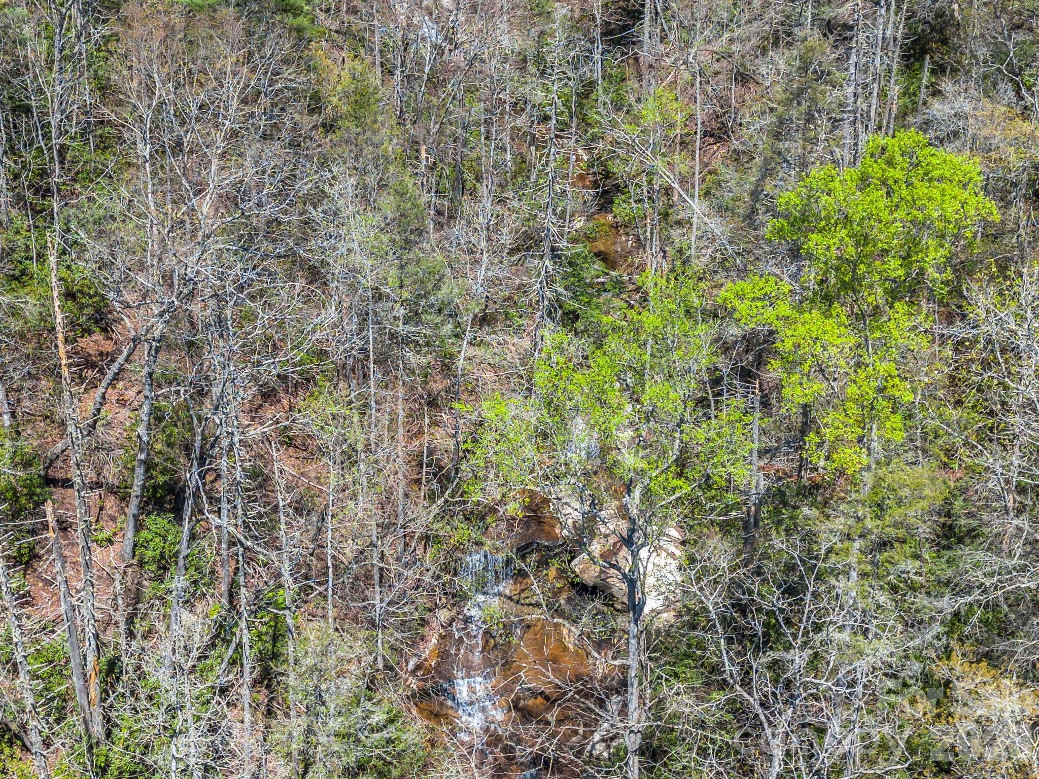 999 Bulling Creek Road Penrose, NC 28766 - Photo 34 of 37
