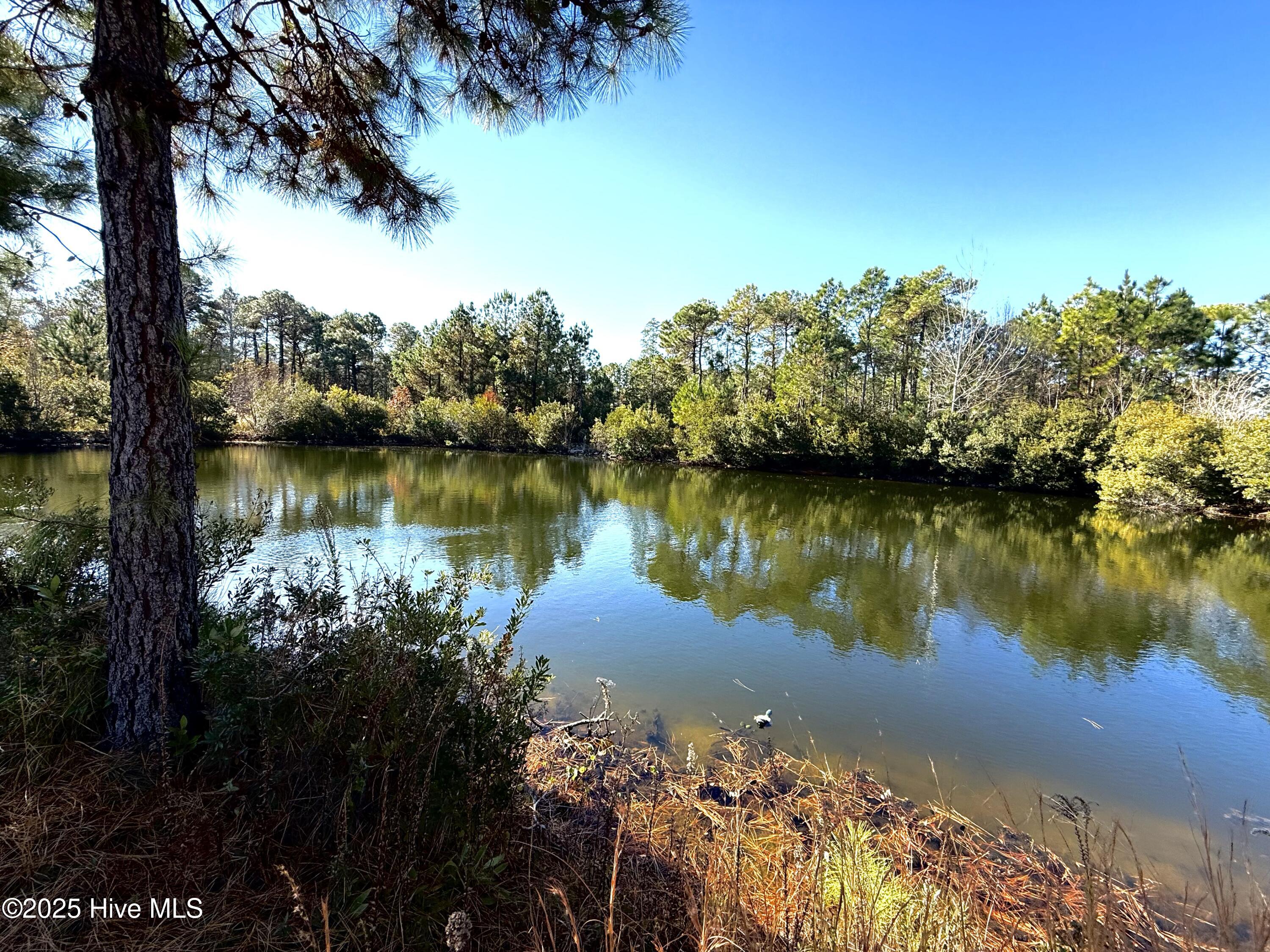 531 Eagle Road Newport, NC 28570 - Photo 14 of 16 Pond