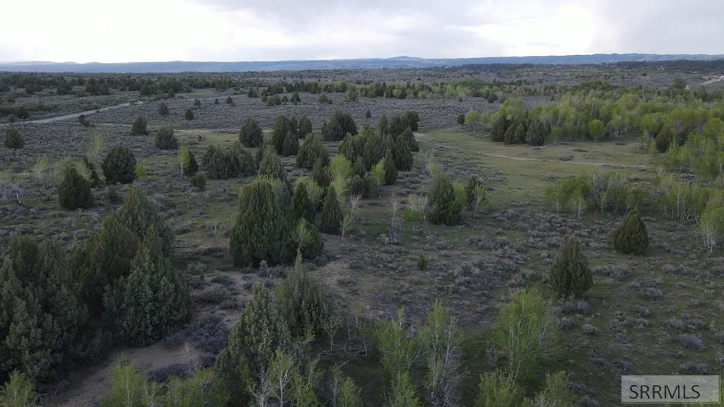 Tbd 40-ac Tbd 40-ac Arcadia Road Ashton, ID 83420 - Photo 20 of 43
