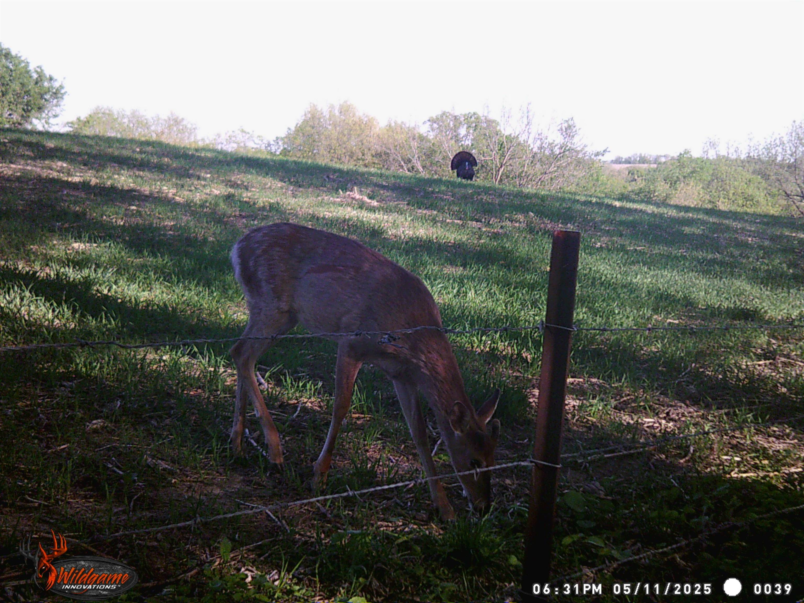 Lot 2 South 52nd Route Dubuque, IA 52003 - Photo 25 of 29 Gallery Image 25