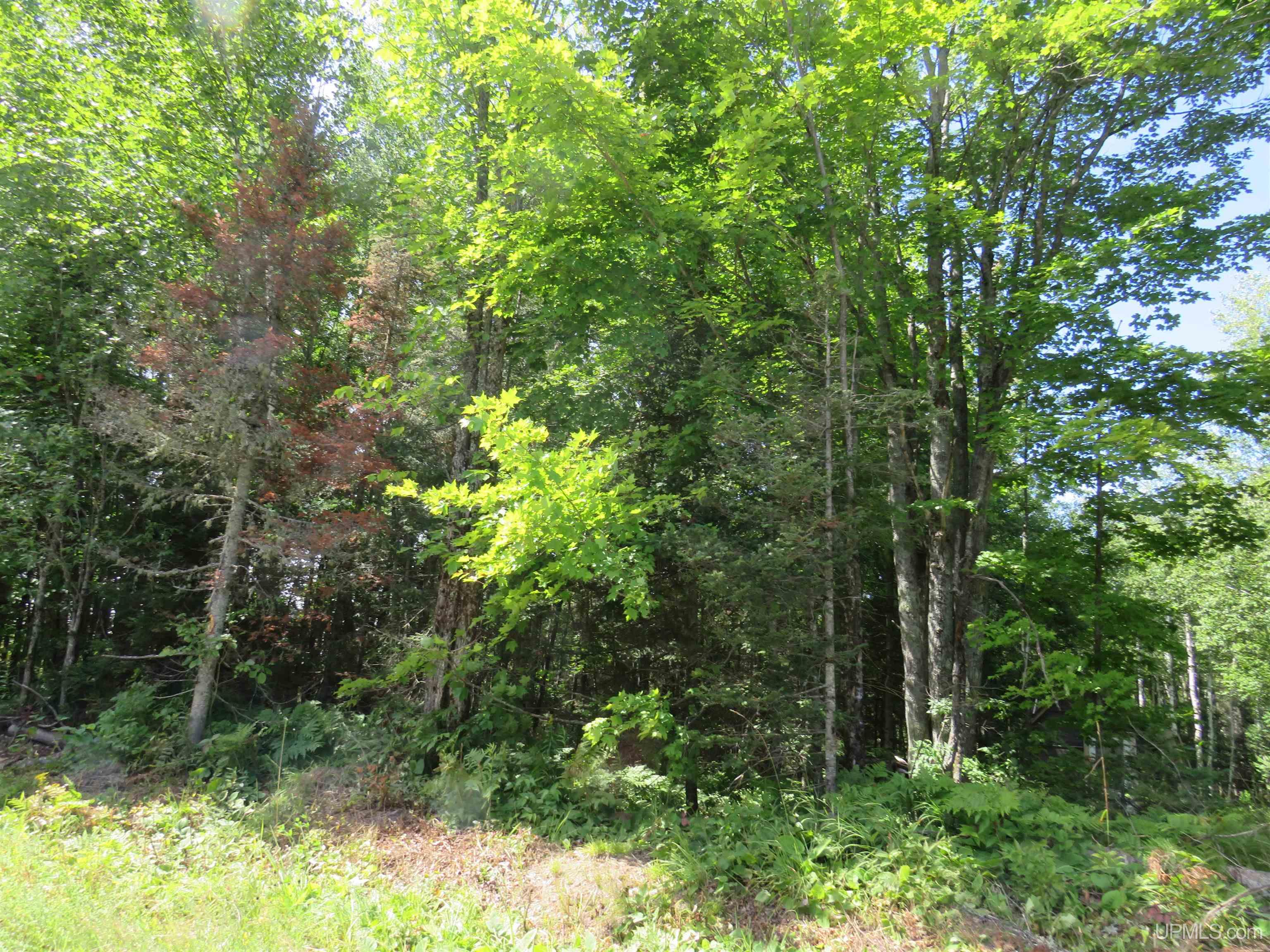 Tbd West Korpi Road, Unit ACROSS FROM 26217 KORPI R Watton, MI 49970 - Photo 5 of 40
