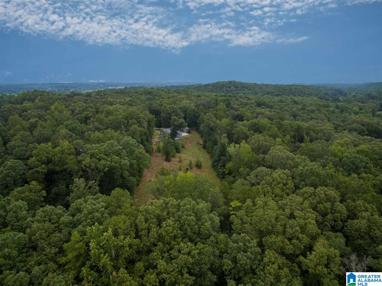 23227 East Ridge Drive McCalla, AL 35111 - Photo 39 of 49