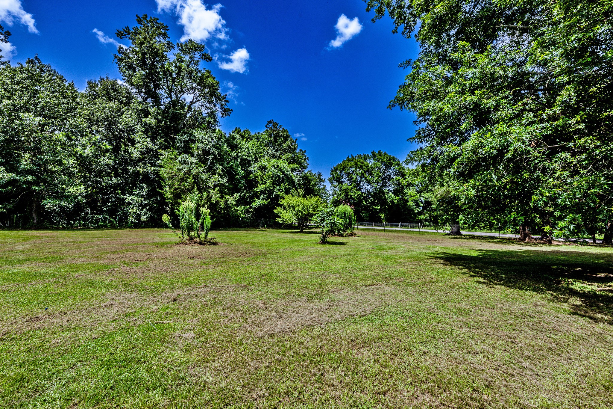 92 A Mt Zion Road New Waverly, TX 77358 - Photo 21 of 29 a view of a trees in a yard