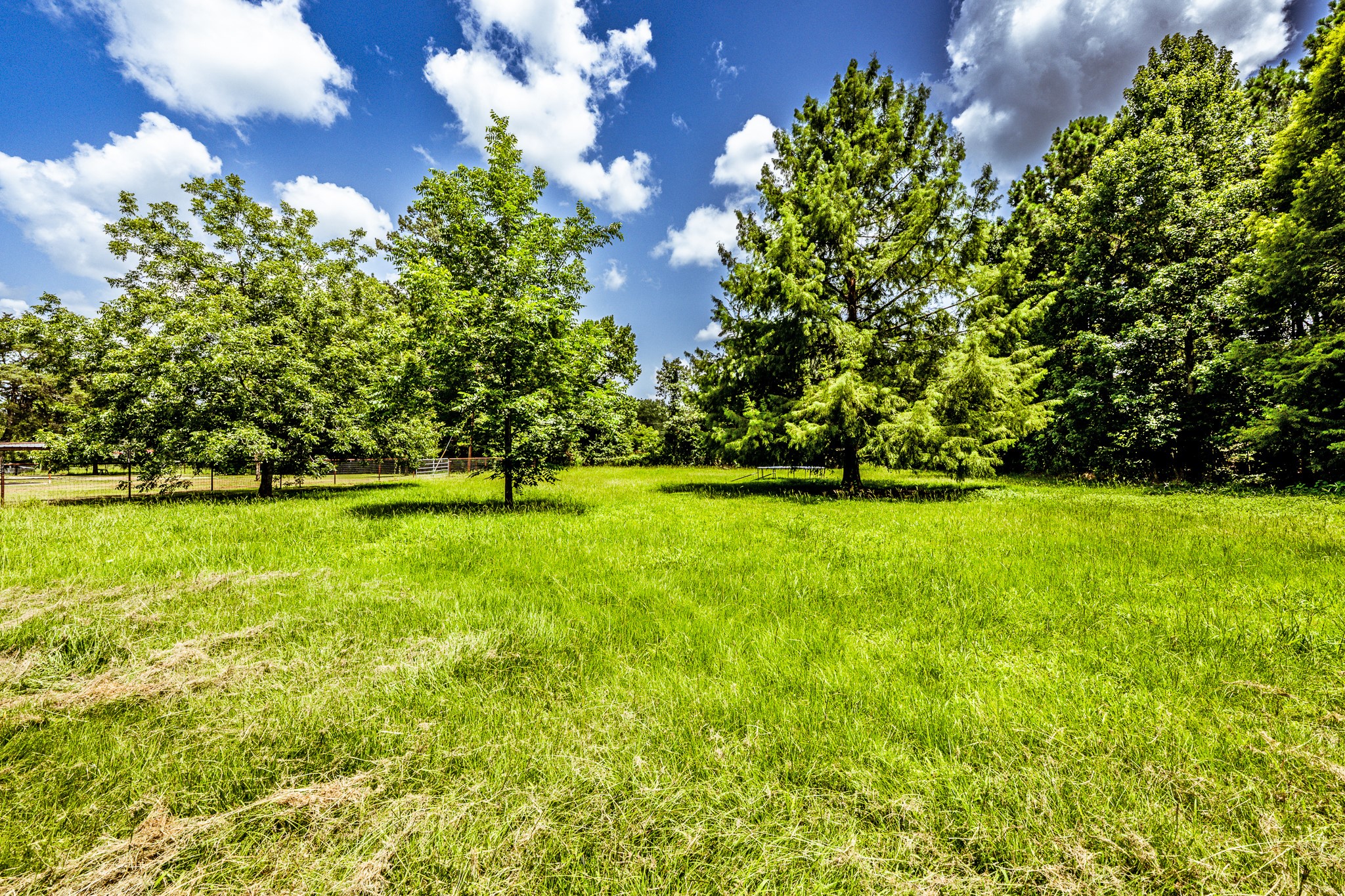 92 A Mt Zion Road New Waverly, TX 77358 - Photo 23 of 29