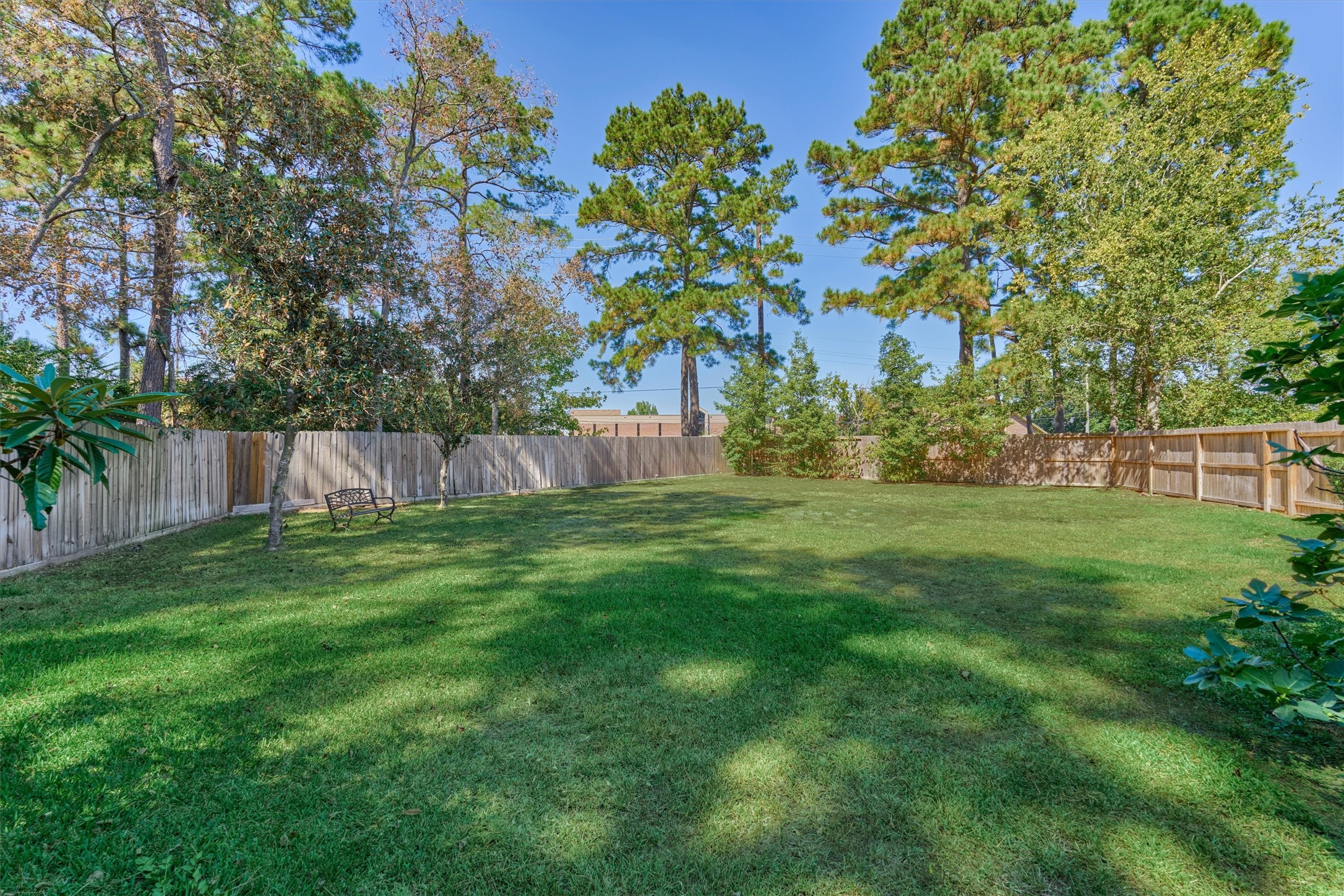20835 Louetta Oak Drive Spring, TX 77388 - Photo 33 of 37 a view of yard with trees