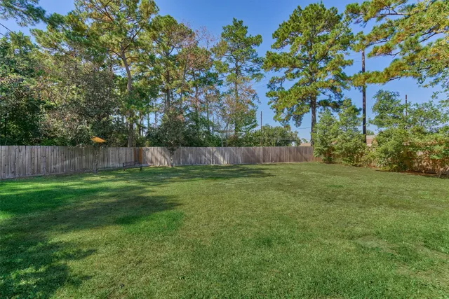 a view of backyard with tree