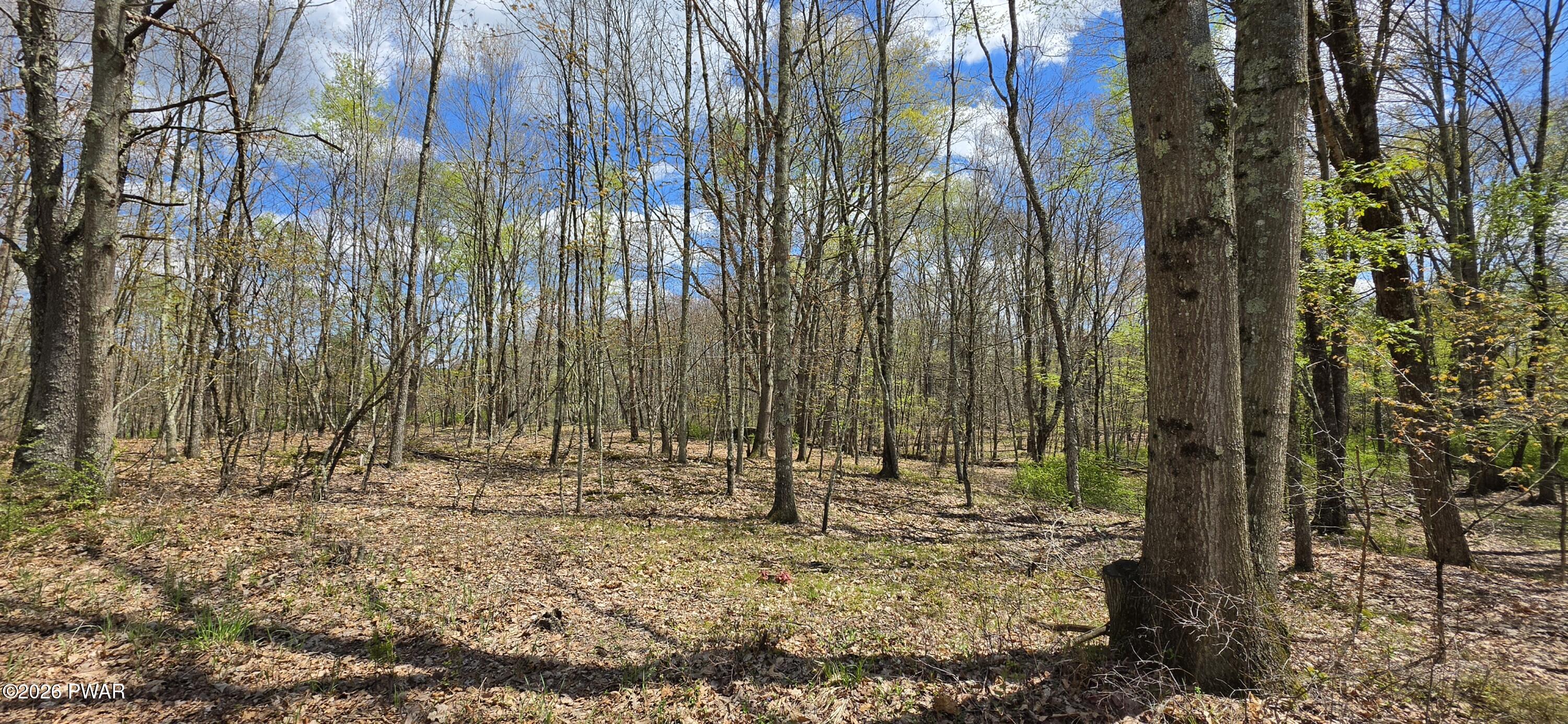 Lot 17.14 Skipperene Road Narrowsburg, NY 12764 - Photo 4 of 15