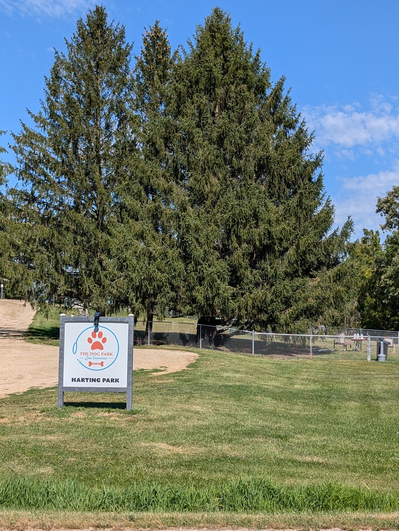 209 Lake Summerset Road Lake Summerset, IL 61019 - Photo 24 of 28 a view of swimming pool with a yard
