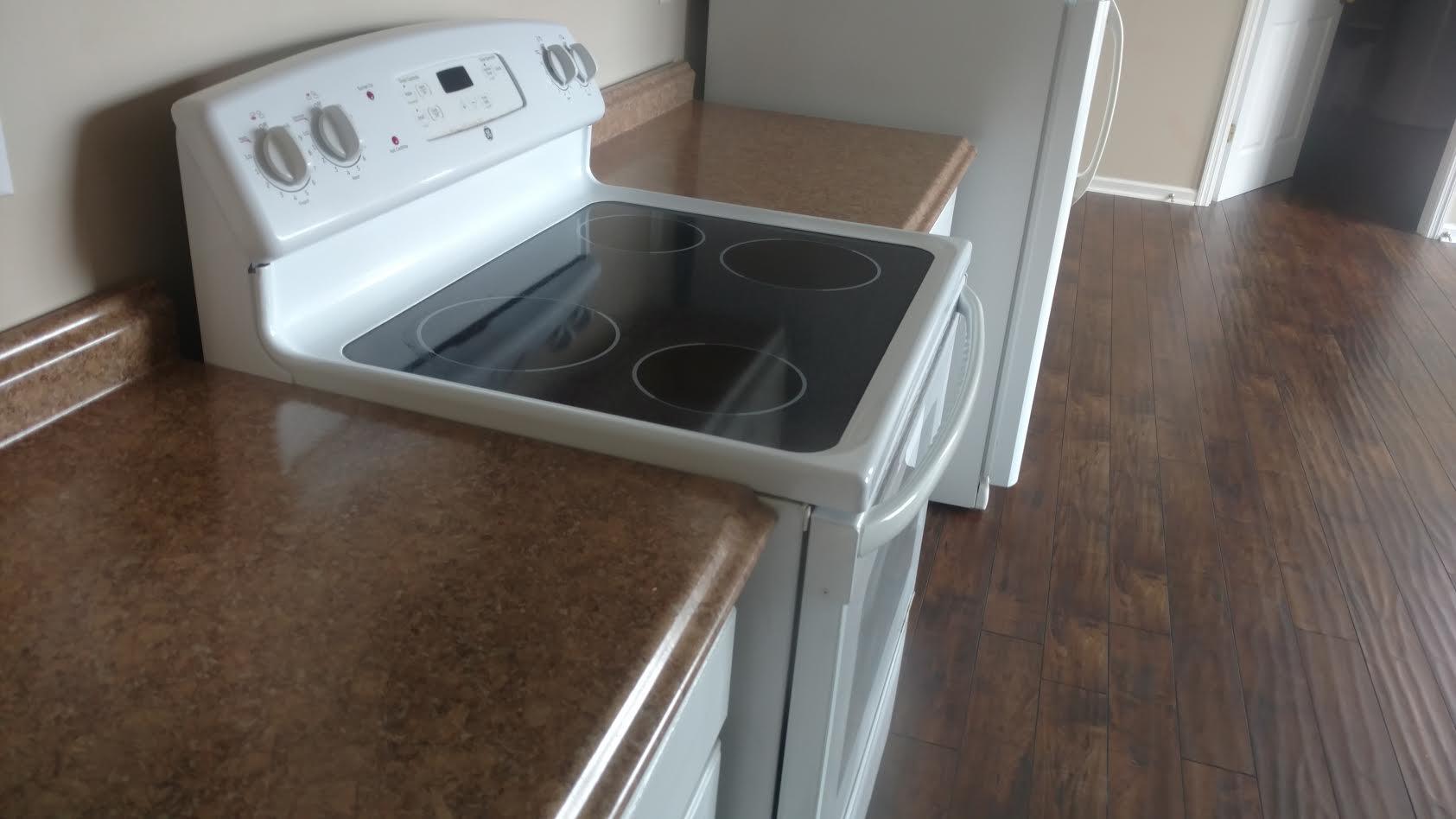 536 Round Pond Road LaFayette, GA 30728 - Photo 3 of 20 New Counters