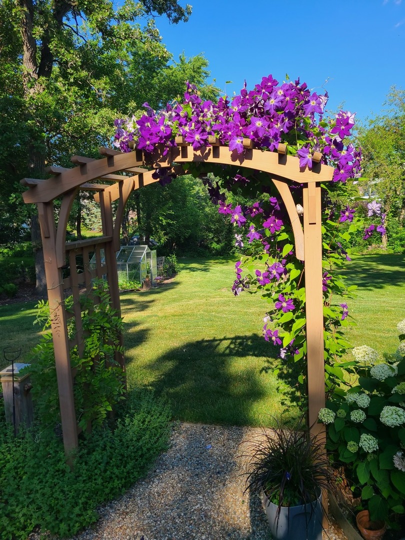 700 West Center Road Palatine, IL 60074 - Photo 27 of 32 a view of a flowers in front of house