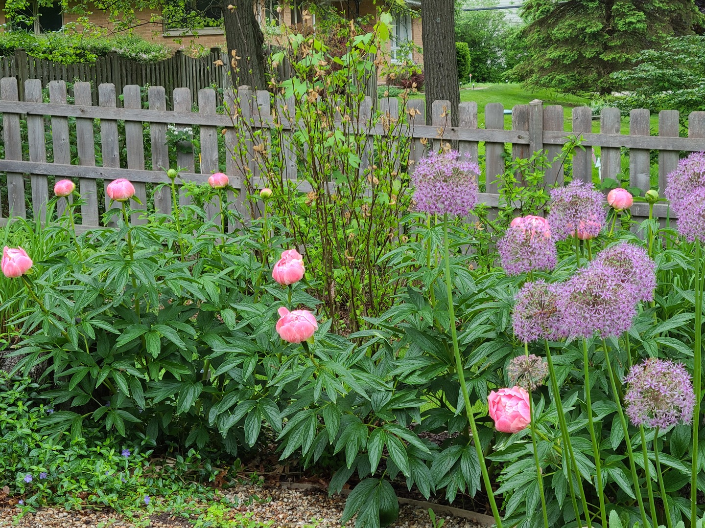 700 West Center Road Palatine, IL 60074 - Photo 29 of 32