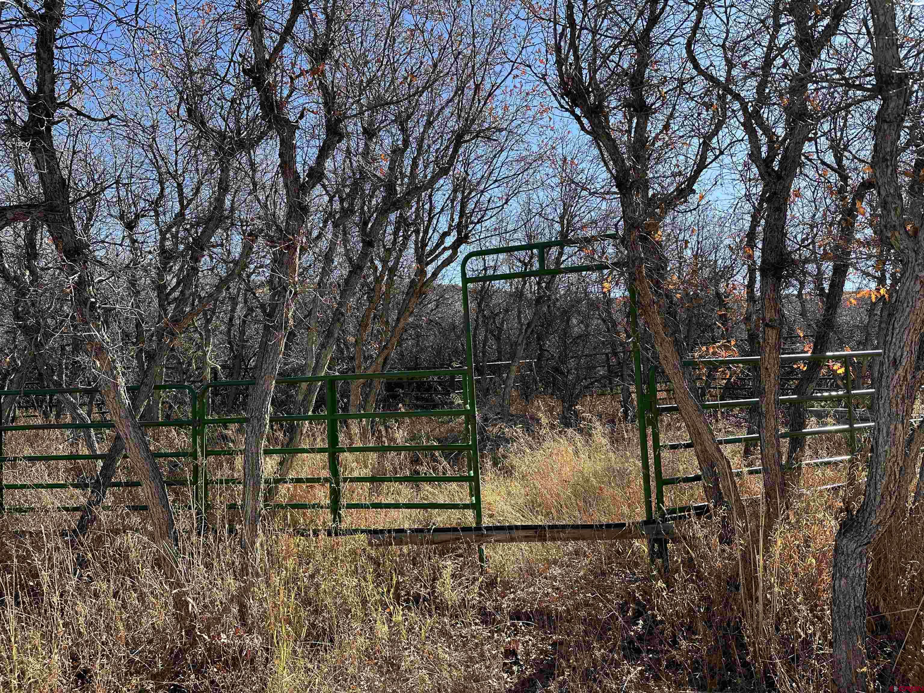 Tbd 8250th Road Crawford, CO 81415 - Photo 23 of 45 a view of outdoor space