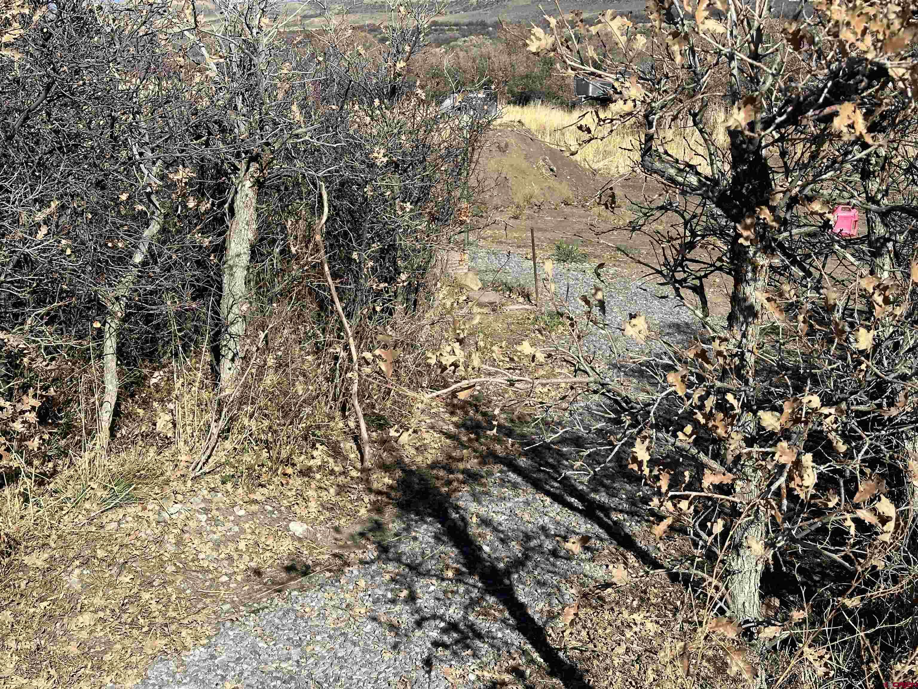 Tbd 8250th Road Crawford, CO 81415 - Photo 26 of 45