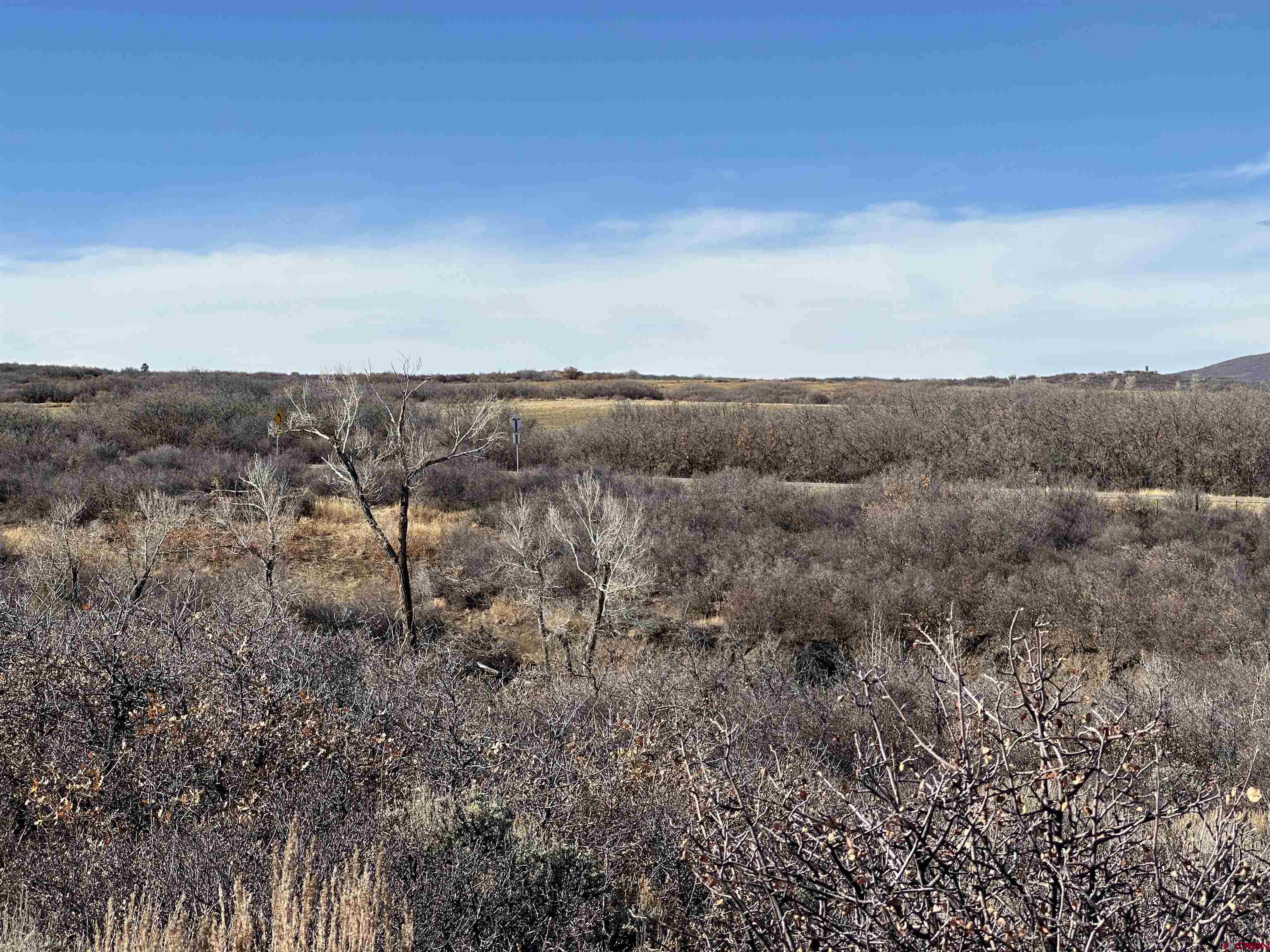 Tbd 8250th Road Crawford, CO 81415 - Photo 32 of 45 a view of a dry yard with lots of trees
