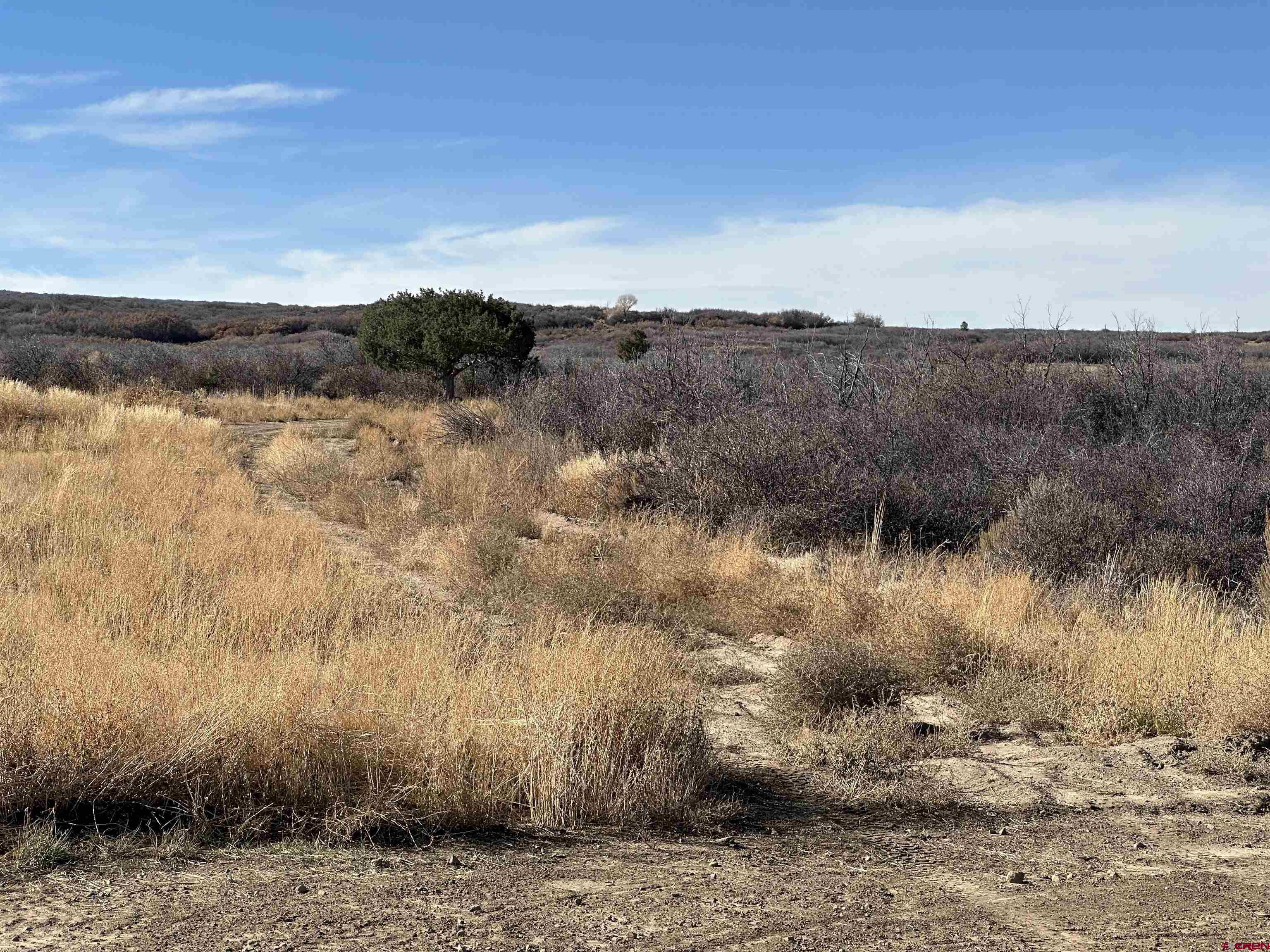 Tbd 8250th Road Crawford, CO 81415 - Photo 36 of 45