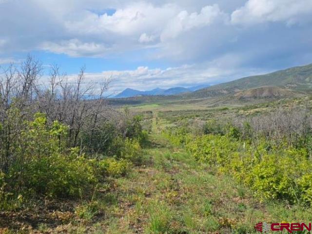 Tbd 8250th Road Crawford, CO 81415 - Photo 7 of 45