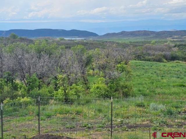Tbd 8250th Road Crawford, CO 81415 - Photo 10 of 45