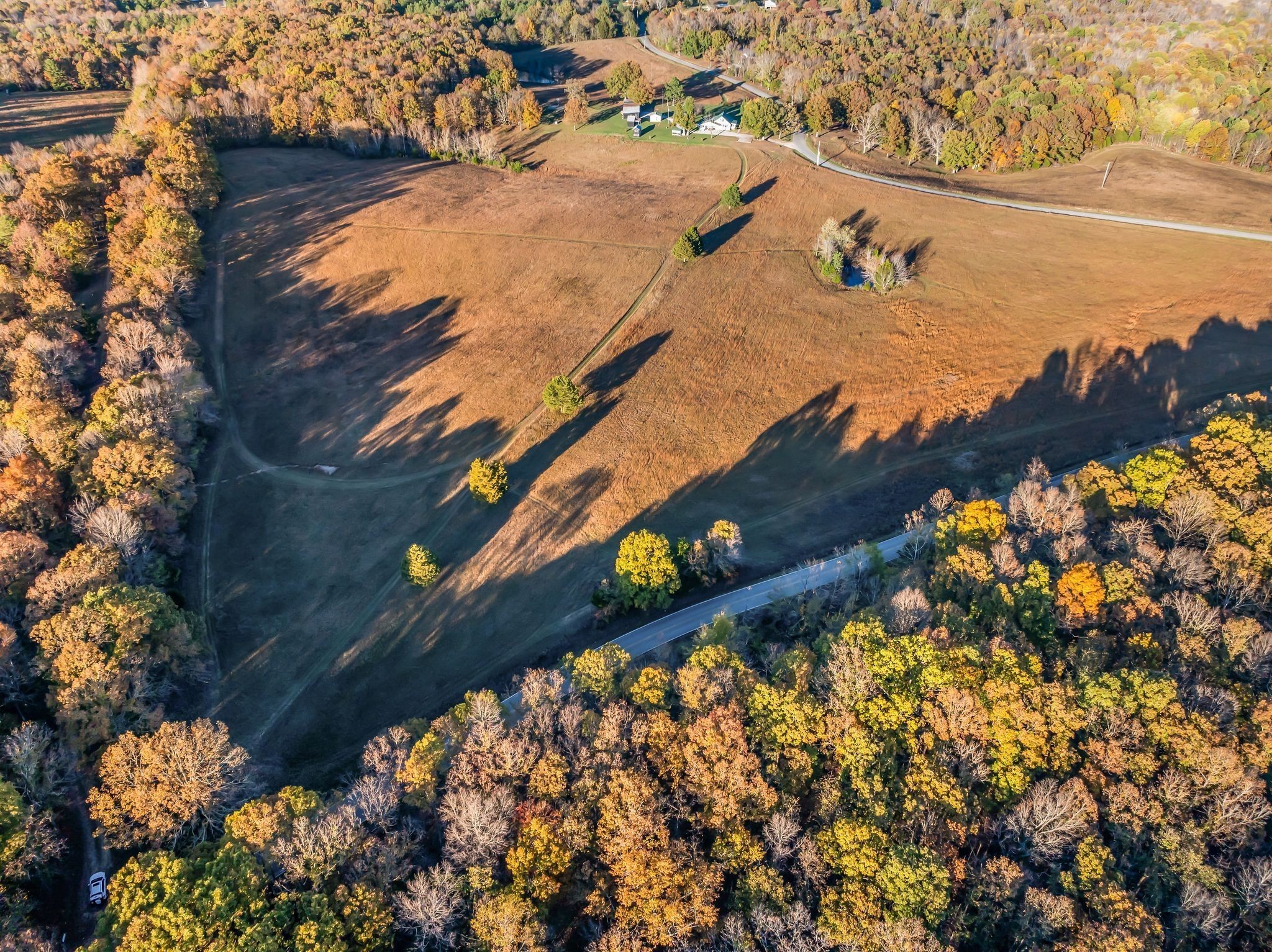 0 Wilson Hollow Road Charlotte, TN 37036 - Photo 3 of 5