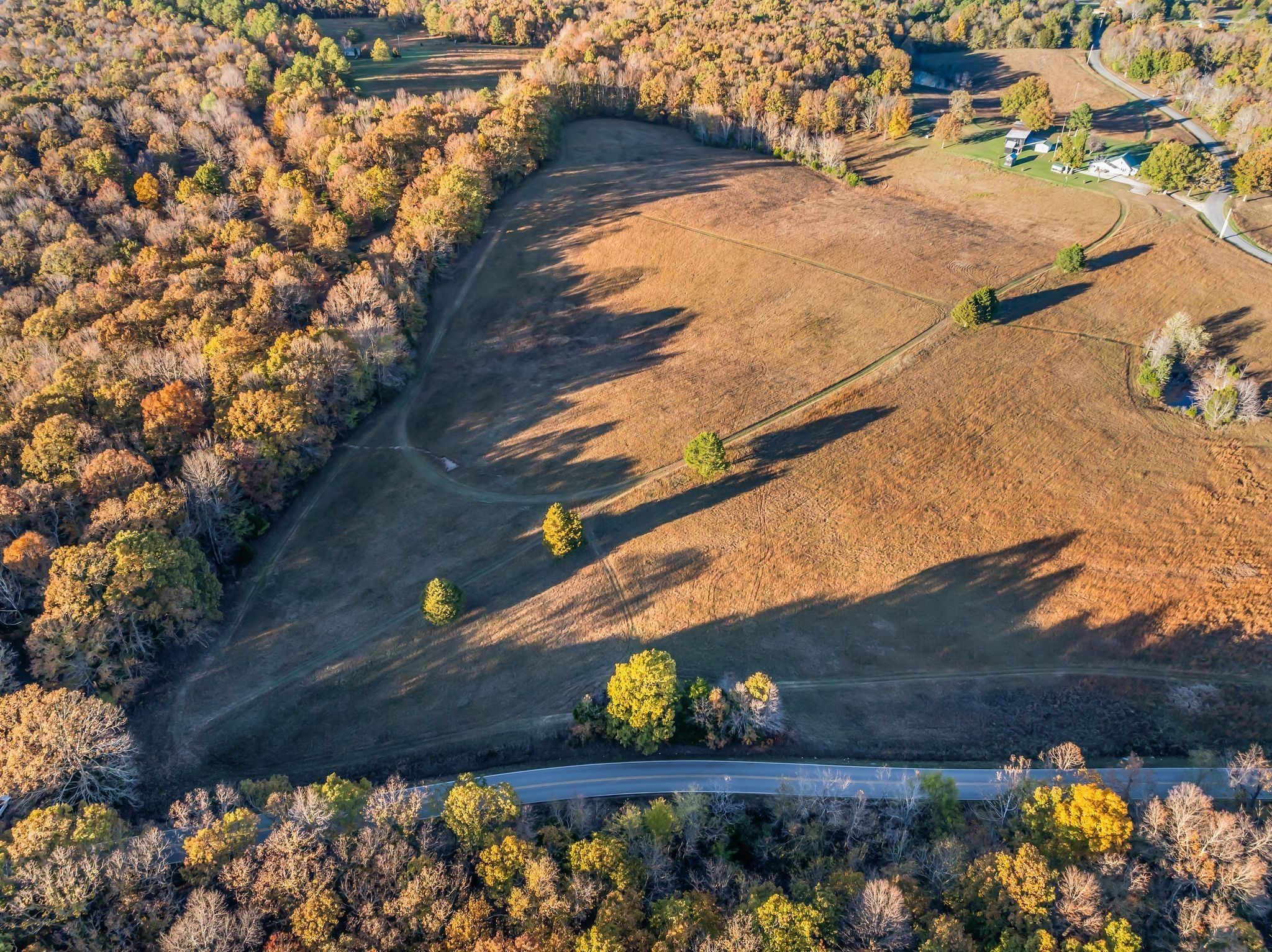 0 Wilson Hollow Road Charlotte, TN 37036 - Photo 4 of 5
