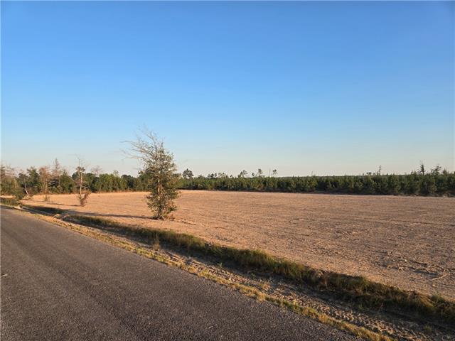 0 3 Elengton Road Deridder, LA 70634 - Photo 3 of 5