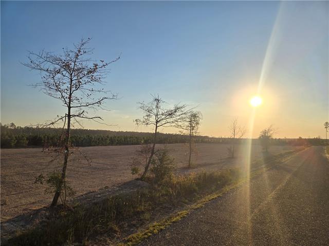 0 3 Elengton Road Deridder, LA 70634 - Photo 4 of 5