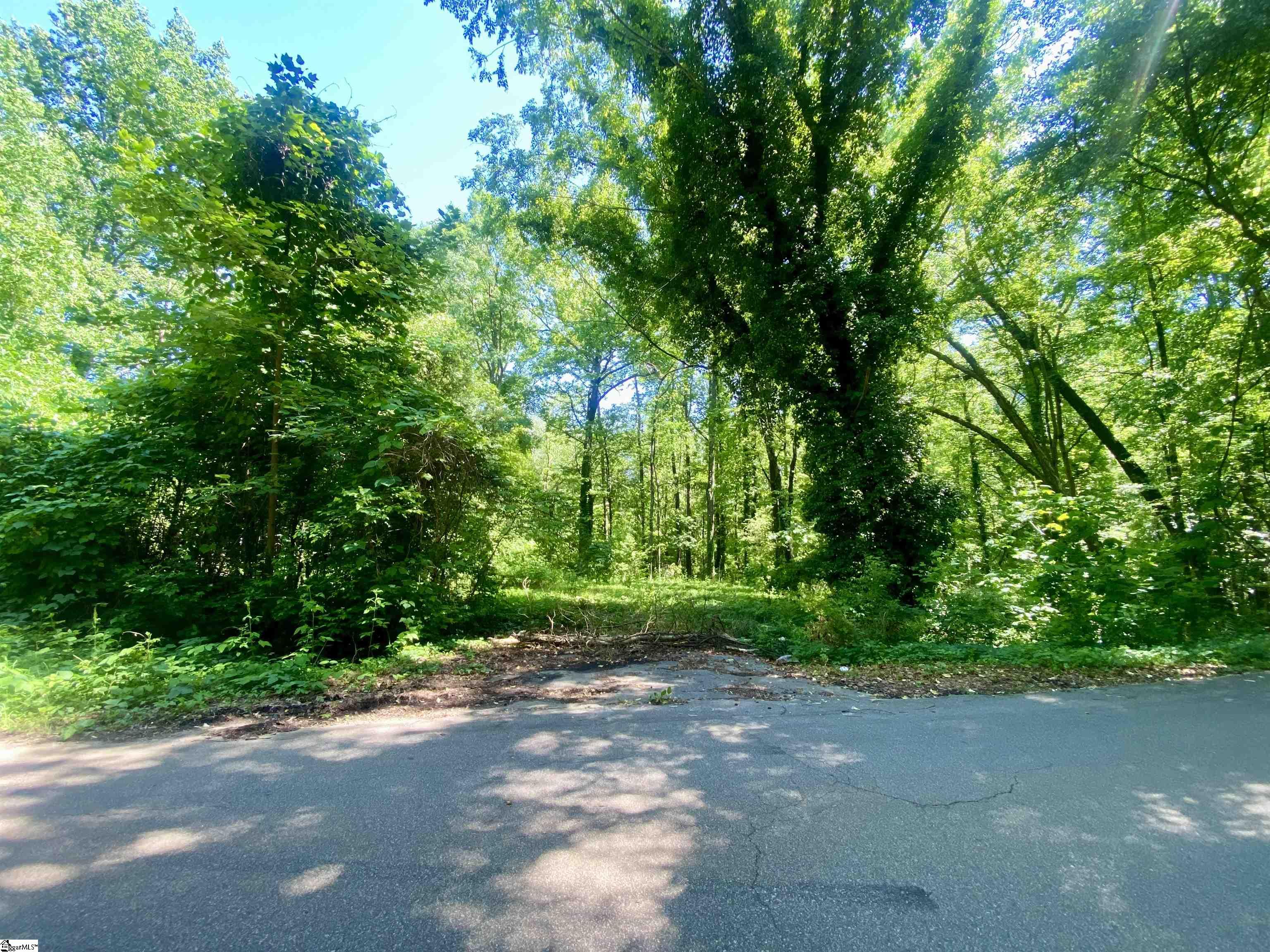 401 State Rd S-42-653 Greer, SC 29651 - Photo 2 of 6