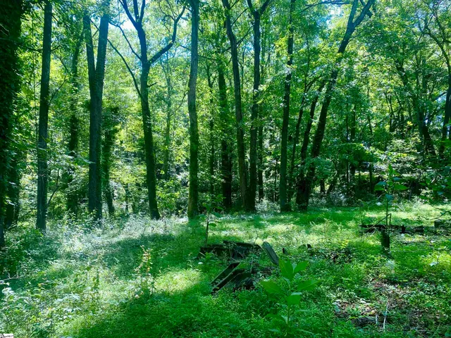 $150,000 | 401 State Rd S-42-653, Greer, SC 29651