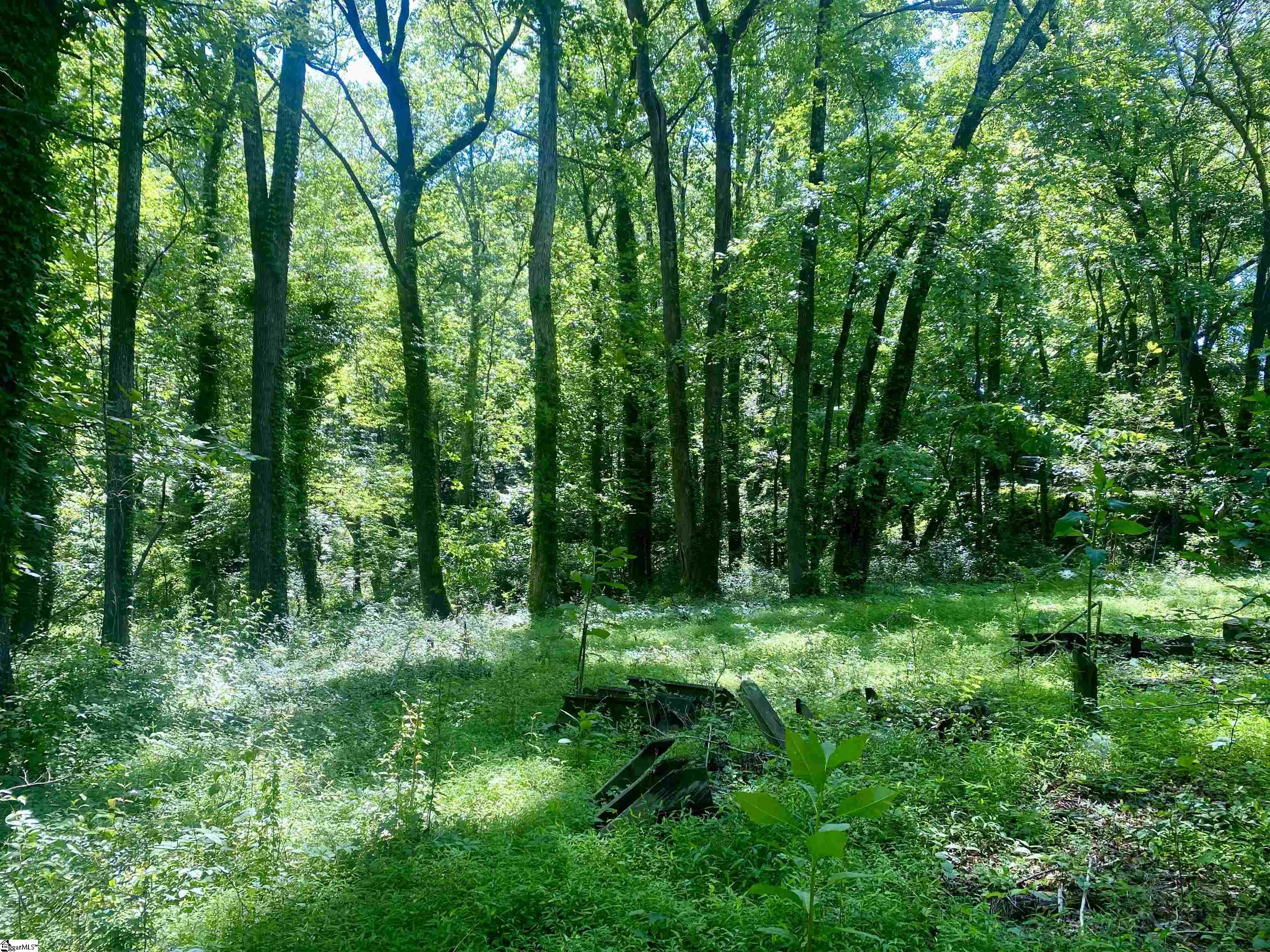 401 State Rd S-42-653 Greer, SC 29651 - Photo 3 of 6