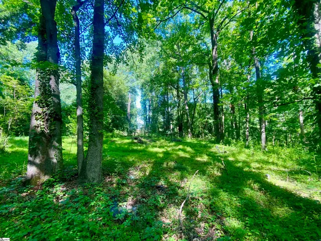 $150,000 | 401 State Rd S-42-653, Greer, SC 29651