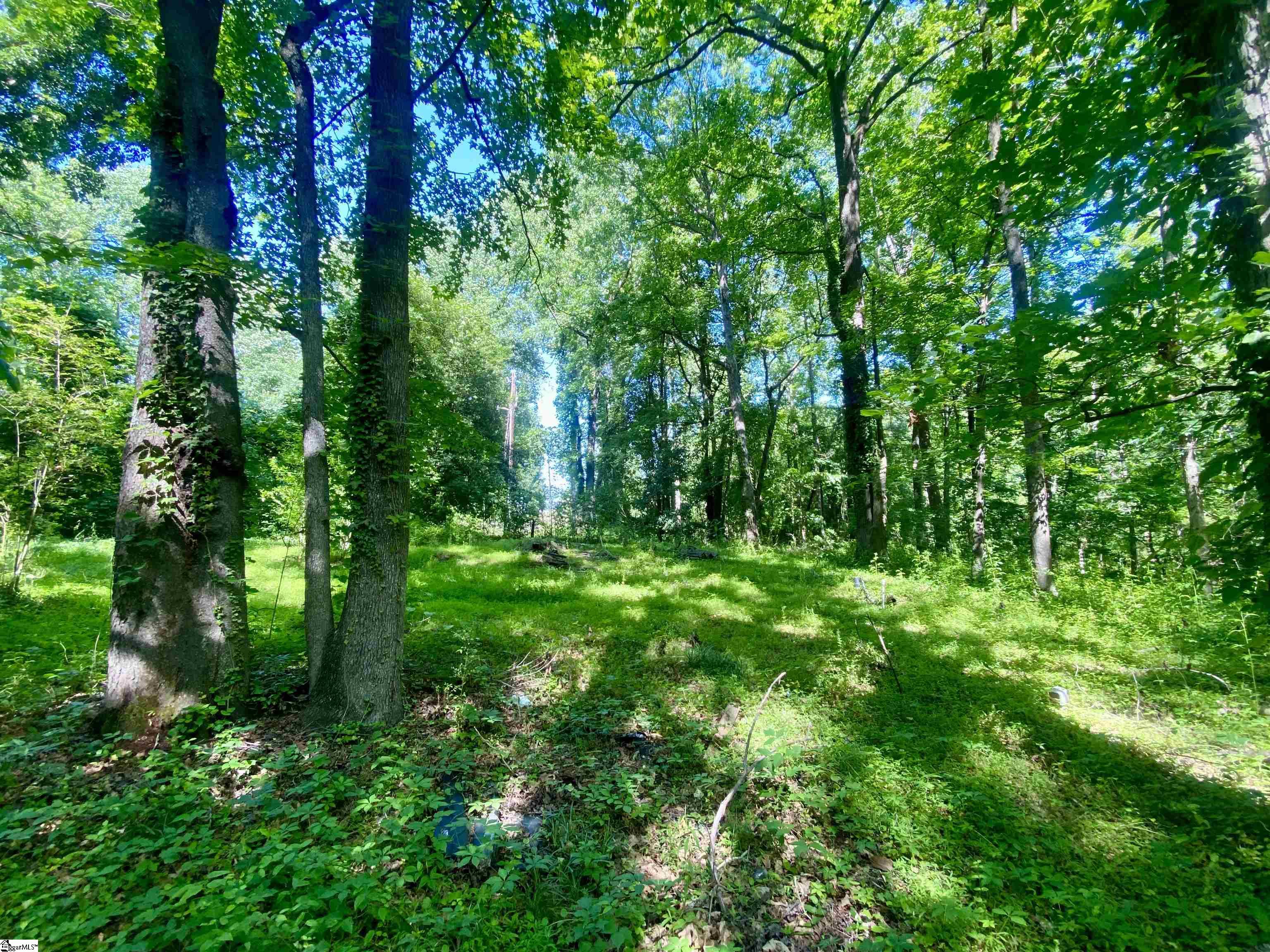 401 State Rd S-42-653 Greer, SC 29651 - Photo 4 of 6