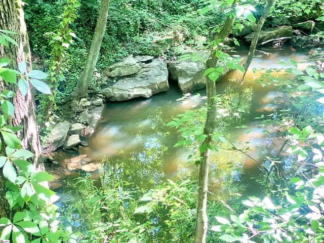 $150,000 | 401 State Rd S-42-653, Greer, SC 29651