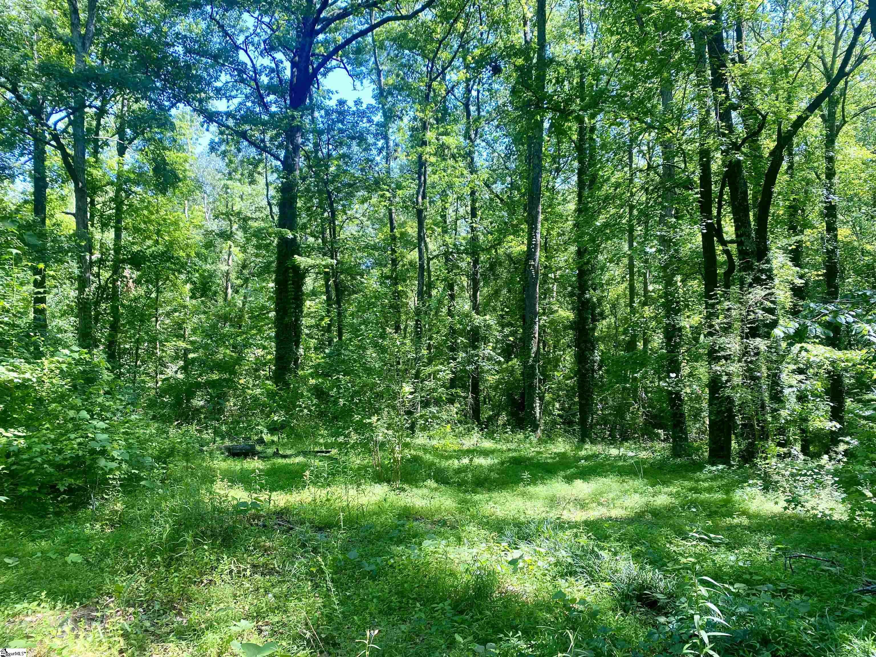 401 State Rd S-42-653 Greer, SC 29651 - Photo 6 of 6