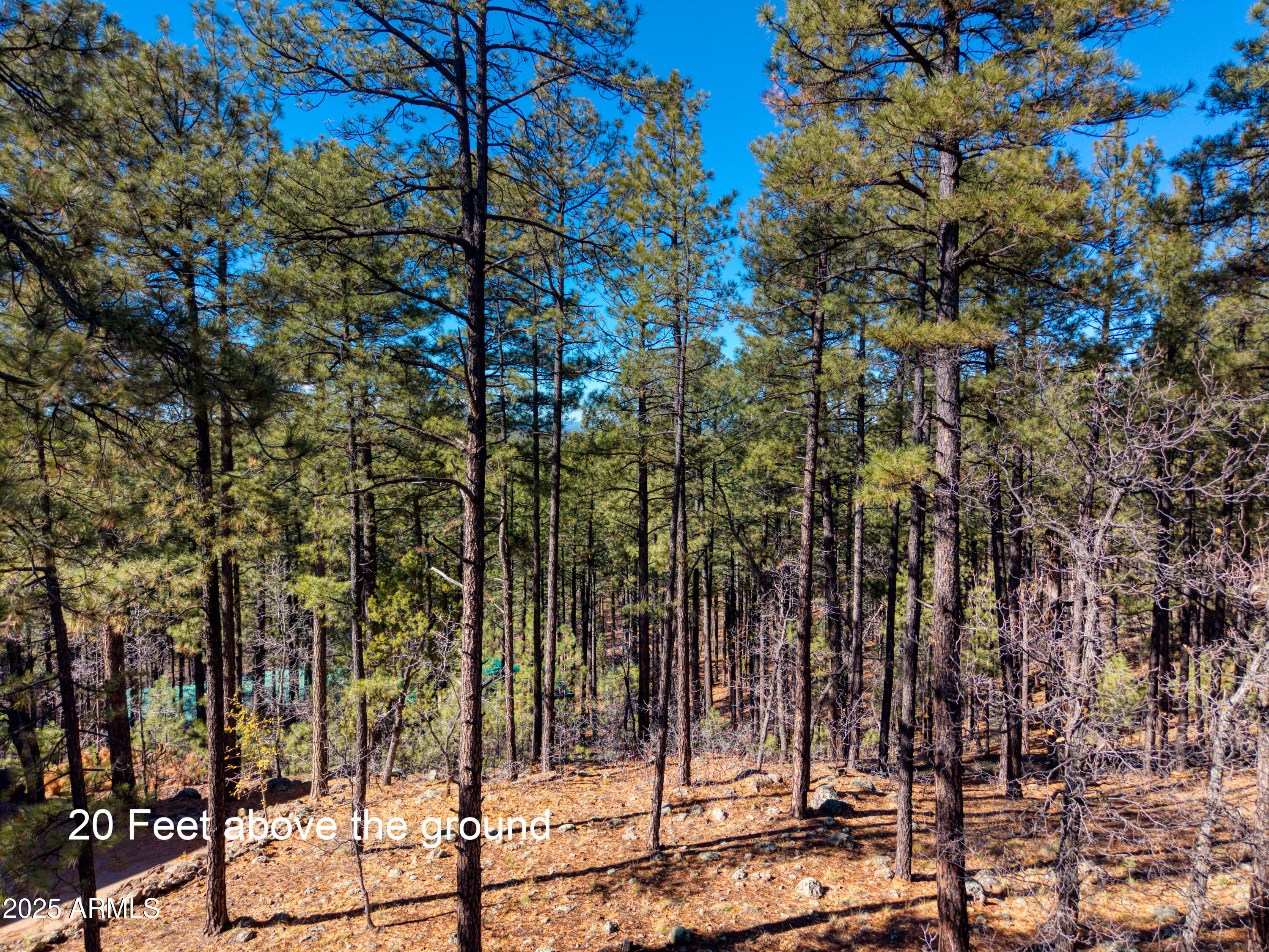 2189 Creekside Court, Unit 19 Pinetop, AZ 85935 - Photo 13 of 15 a view of a park