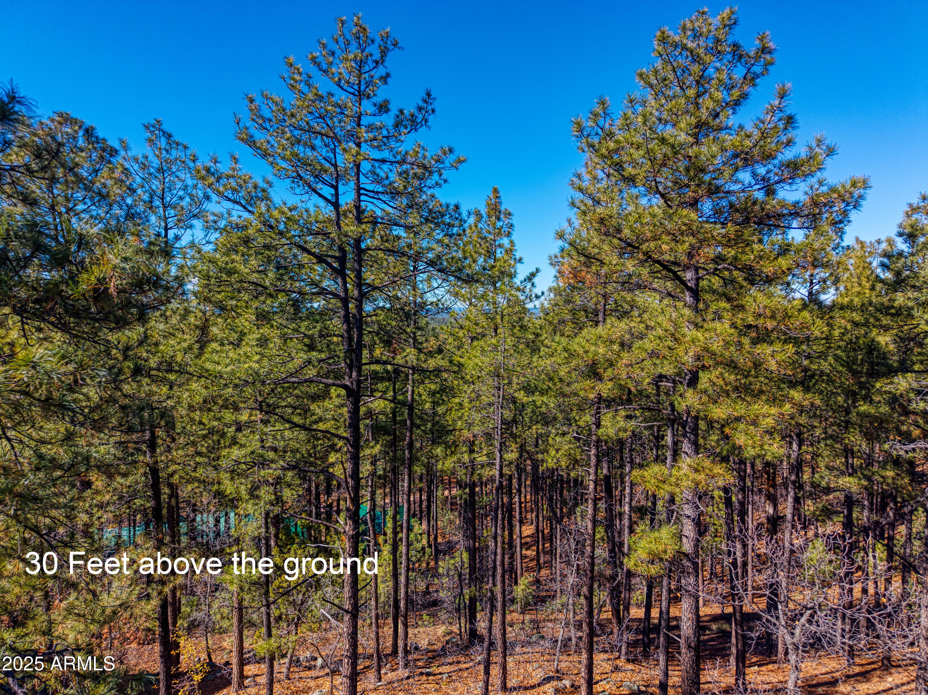 2189 Creekside Court, Unit 19 Pinetop, AZ 85935 - Photo 14 of 15
