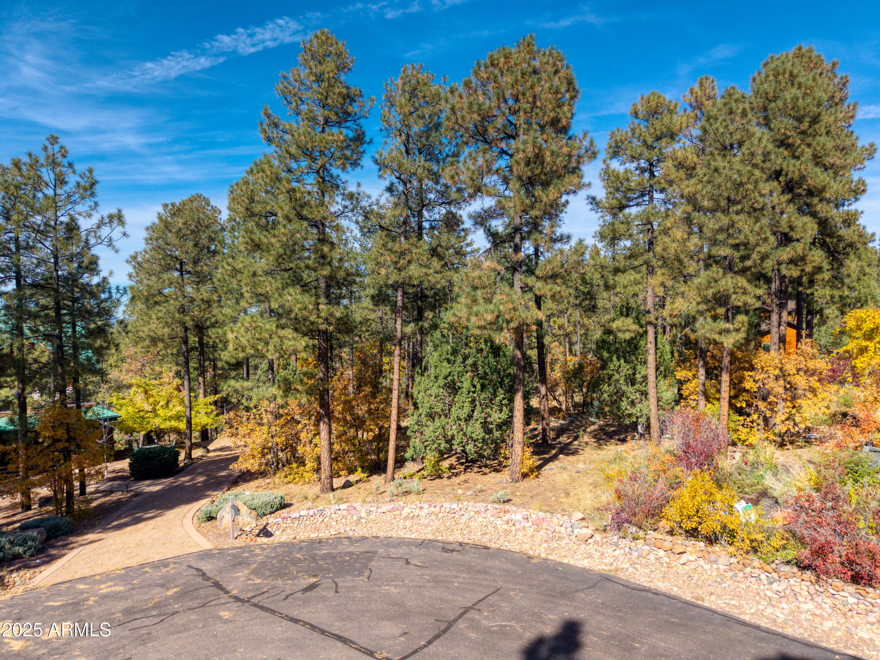 2189 Creekside Court, Unit 19 Pinetop, AZ 85935 - Photo 2 of 15 a view of a yard with flower plants