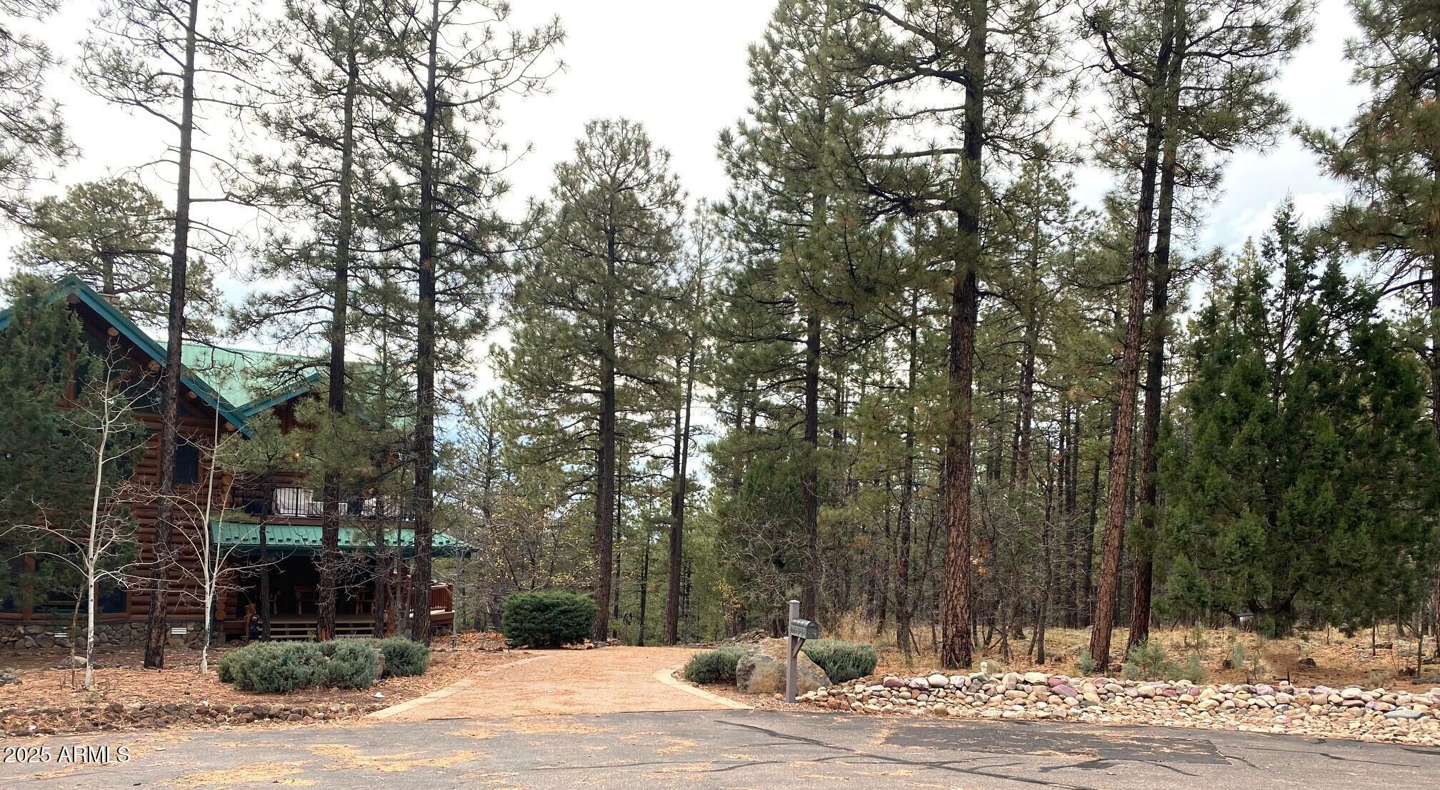 2189 Creekside Court, Unit 19 Pinetop, AZ 85935 - Photo 3 of 15 a view of a park with tree s