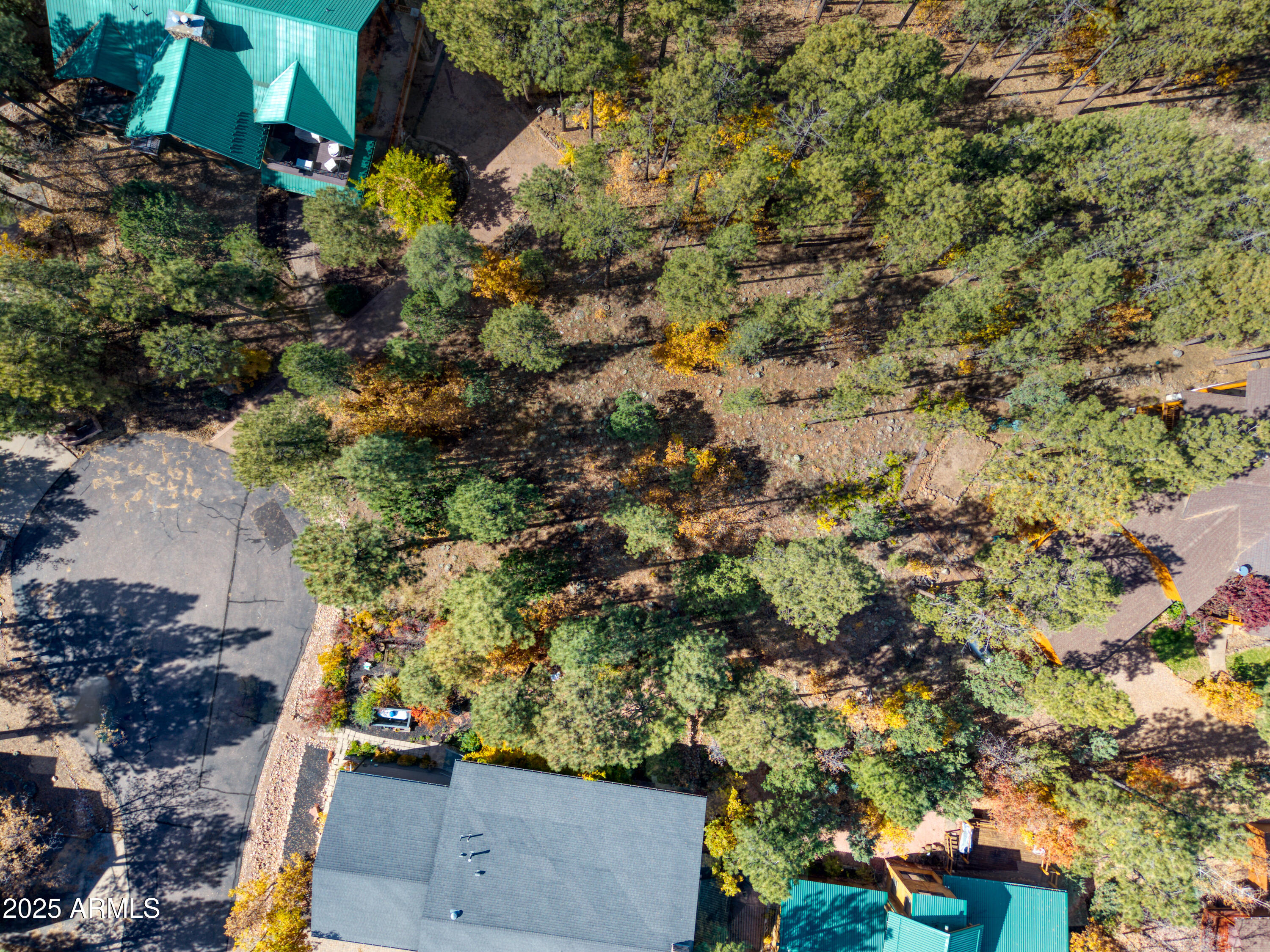 2189 Creekside Court, Unit 19 Pinetop, AZ 85935 - Photo 4 of 15 an aerial view of residential house with outdoor space