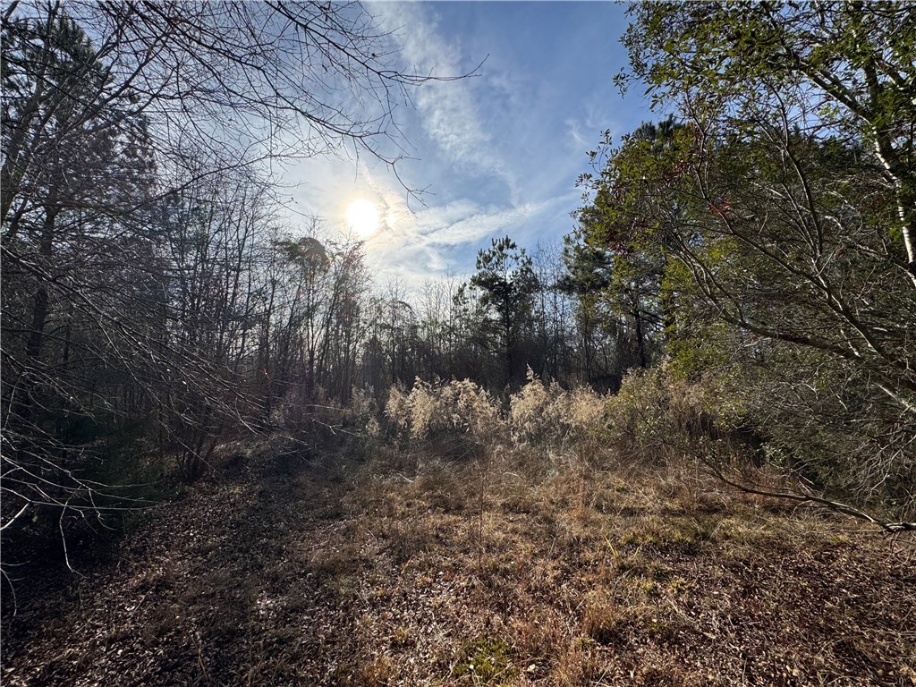1816 Troy Road McCormick, SC 29835 - Photo 13 of 20