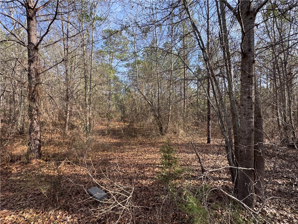 1816 Troy Road McCormick, SC 29835 - Photo 15 of 20